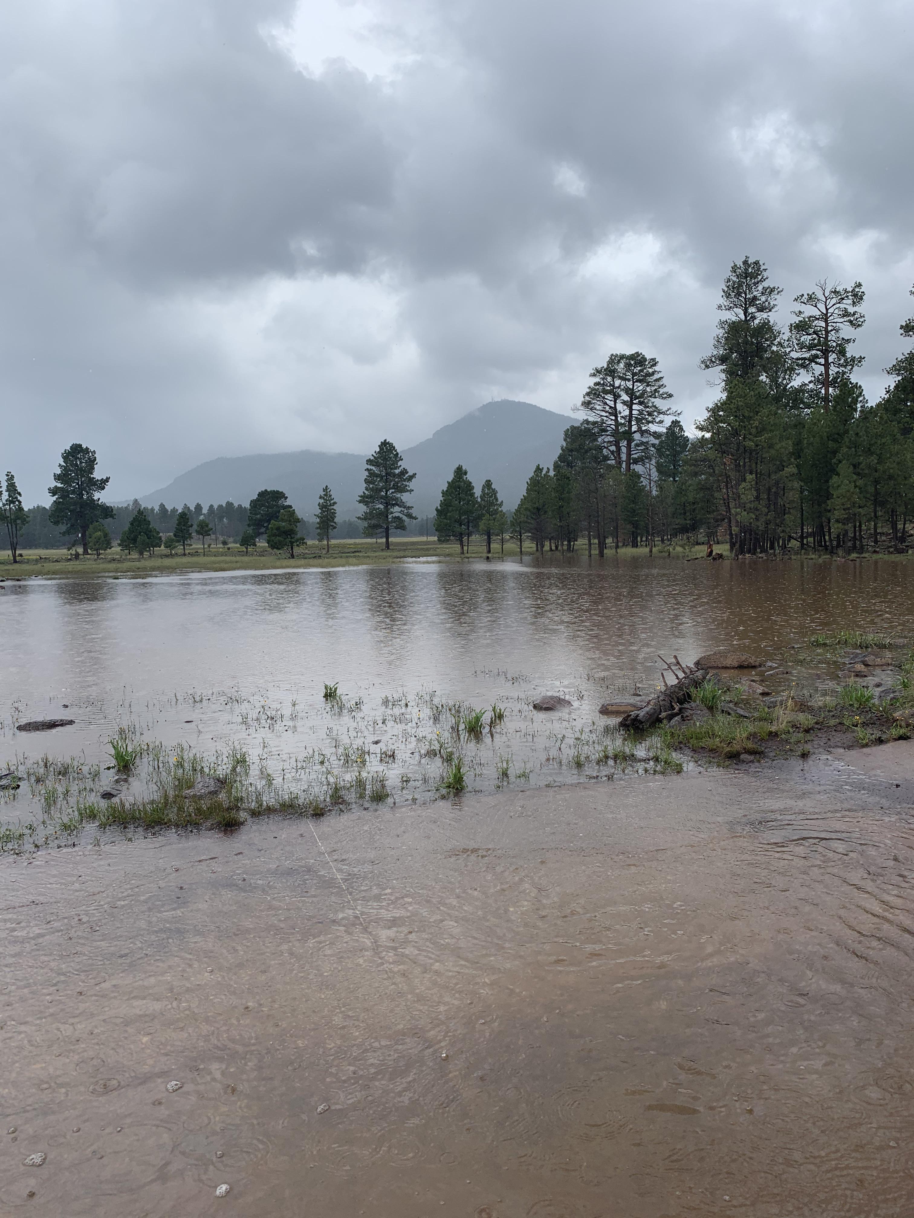 Williams,AZ. r/arizona