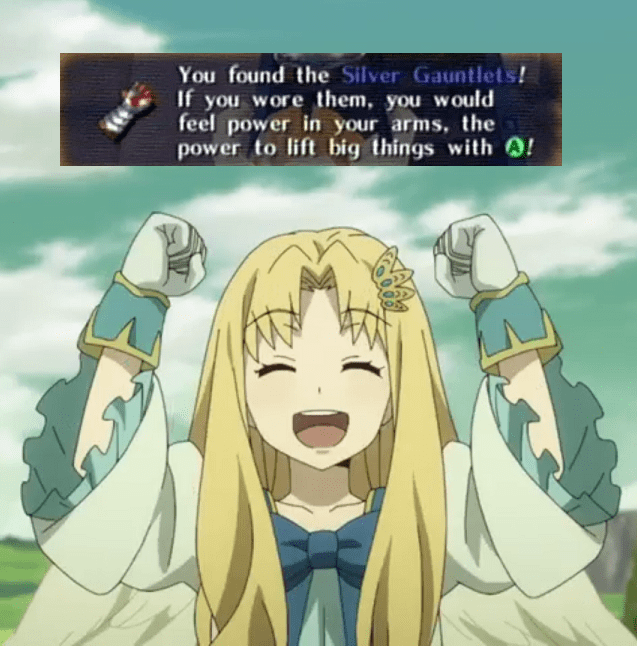 Strong enough to scrub all the floors in Hyrule shieldbro