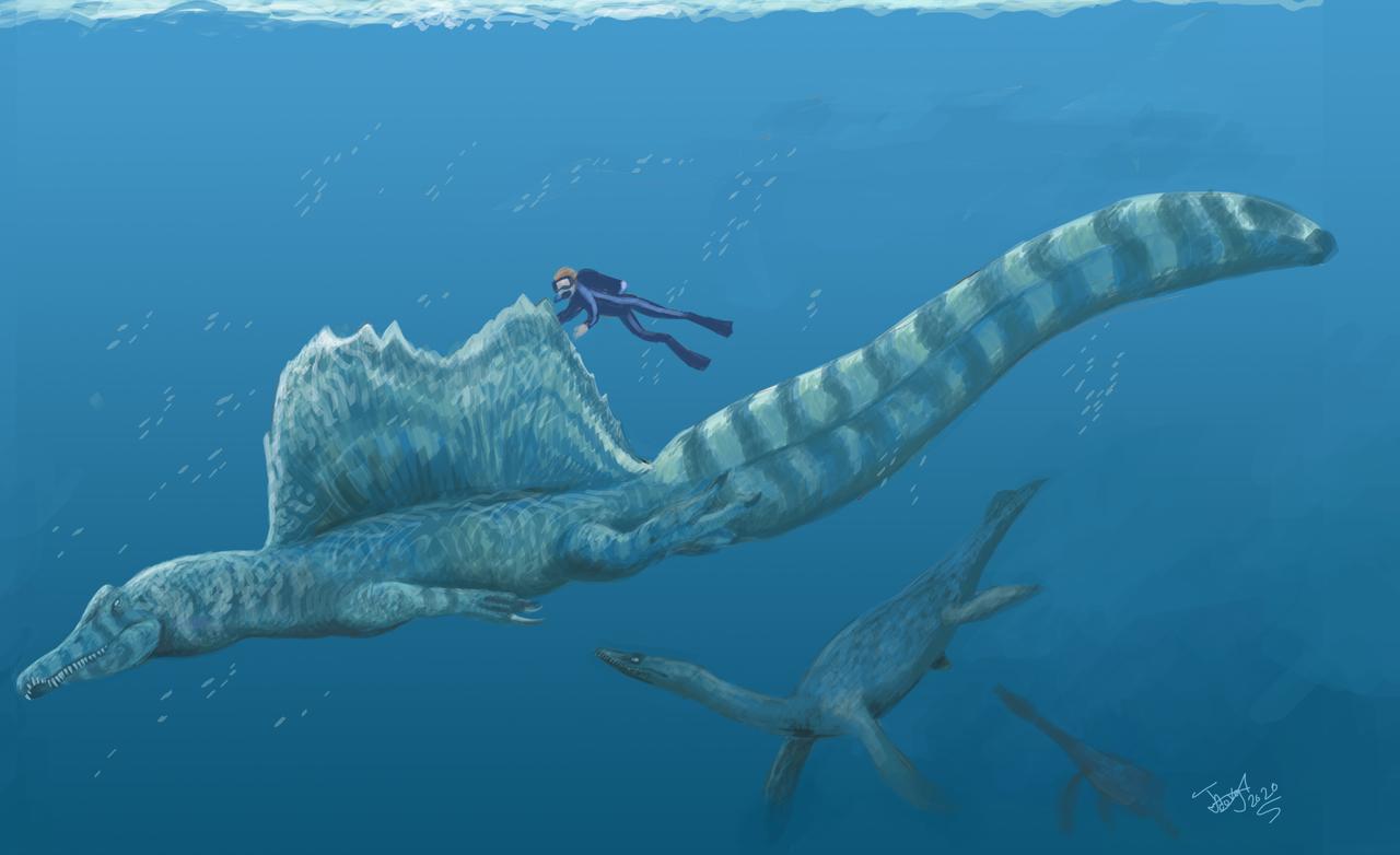 Spinosaurus, a massive semi aquatic Cretaceous dinosaur r/TheDepthsBelow
