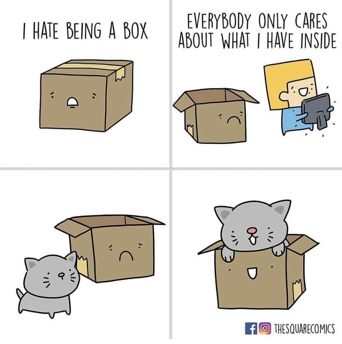 What’s in the box Catmemes