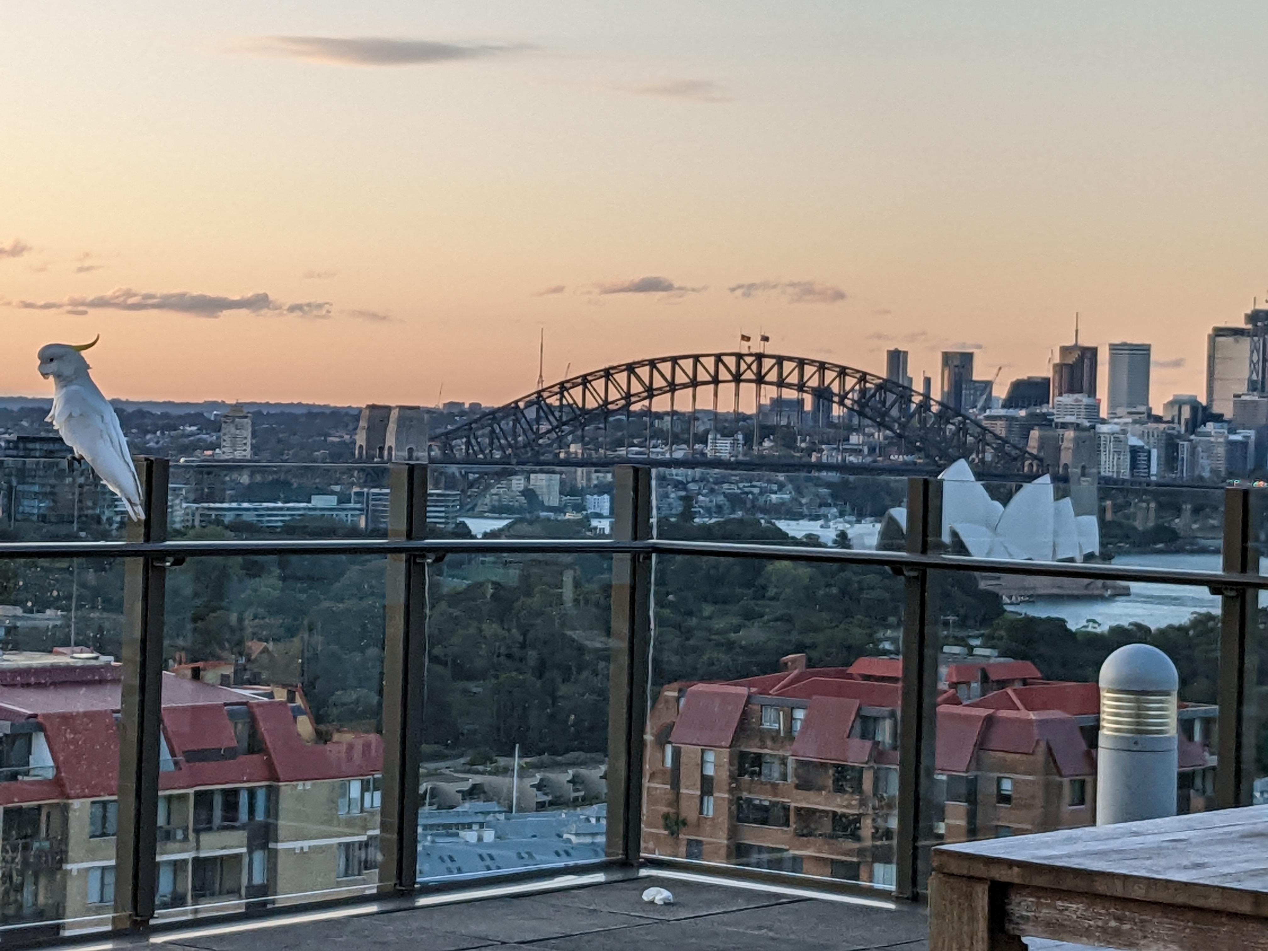 just Sydney things r/sydney