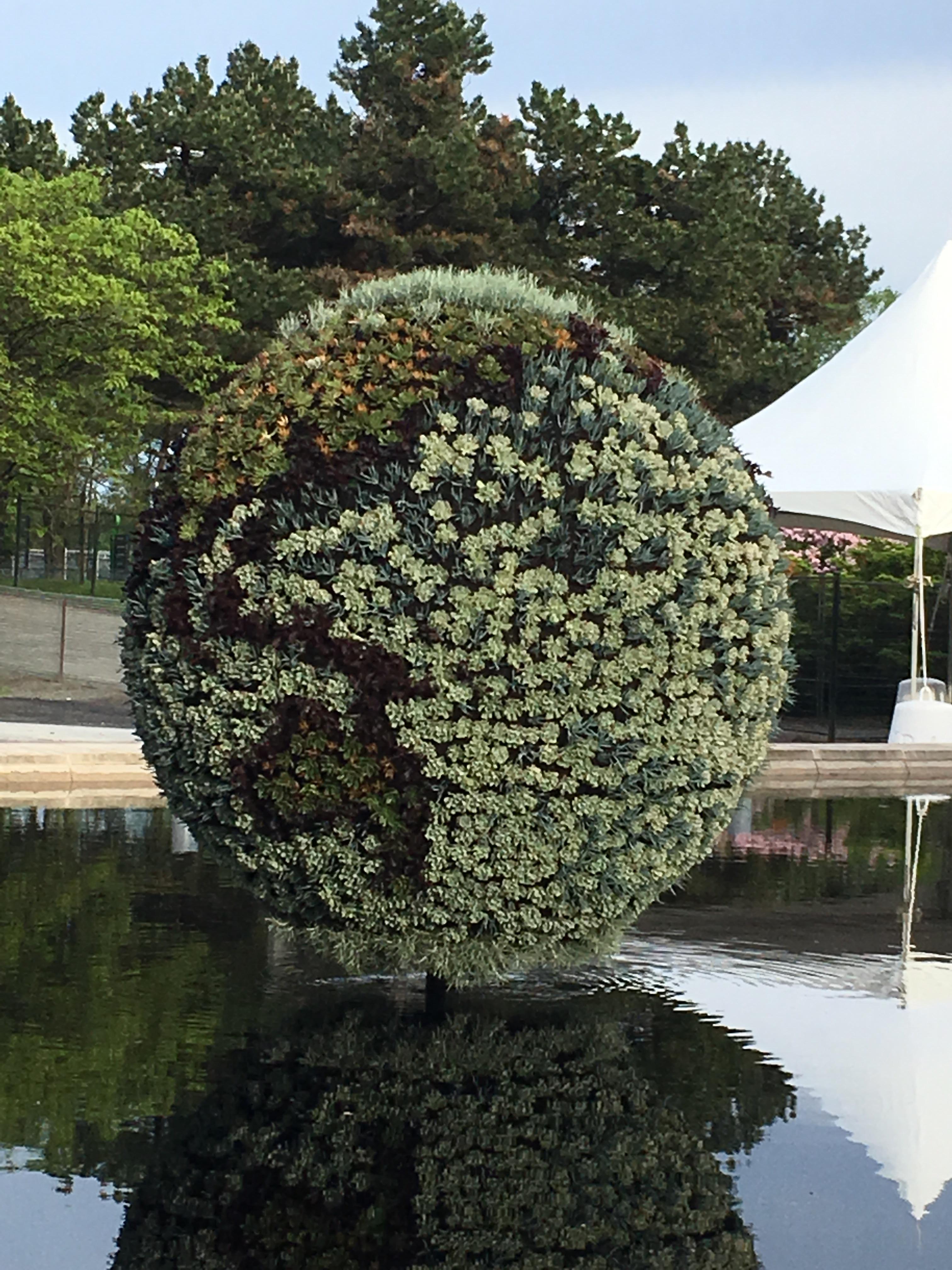 This flower globe refuses to recognize New Zealand r/MapsWithoutNZ
