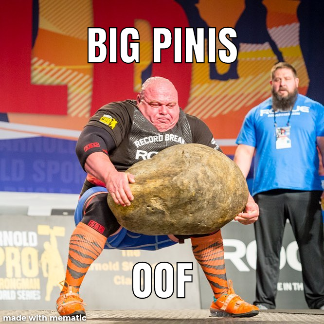 Bigest pinis : memes