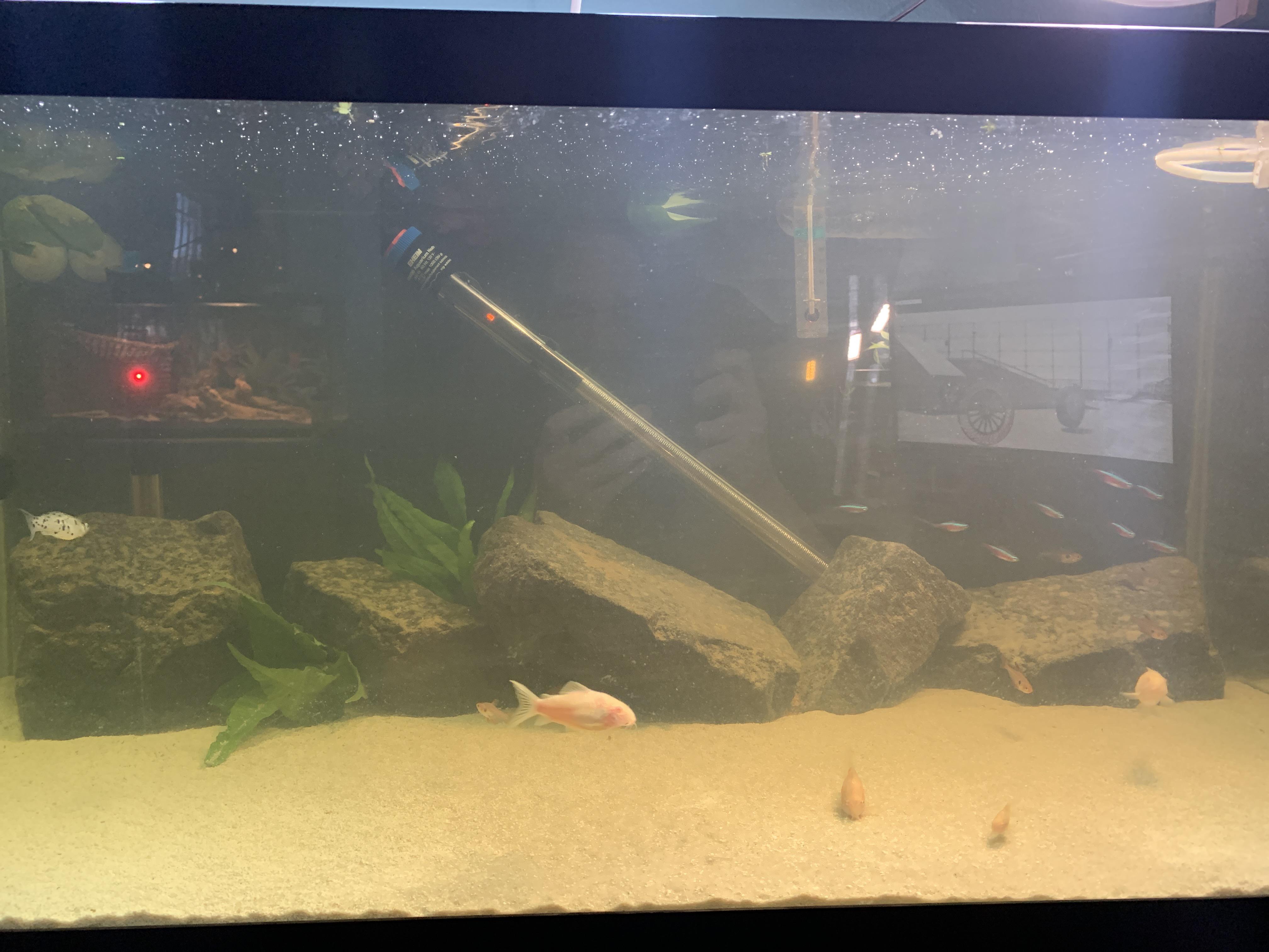 So uh i ordered a 150w heater and they sent a 300w i have a 50w heater