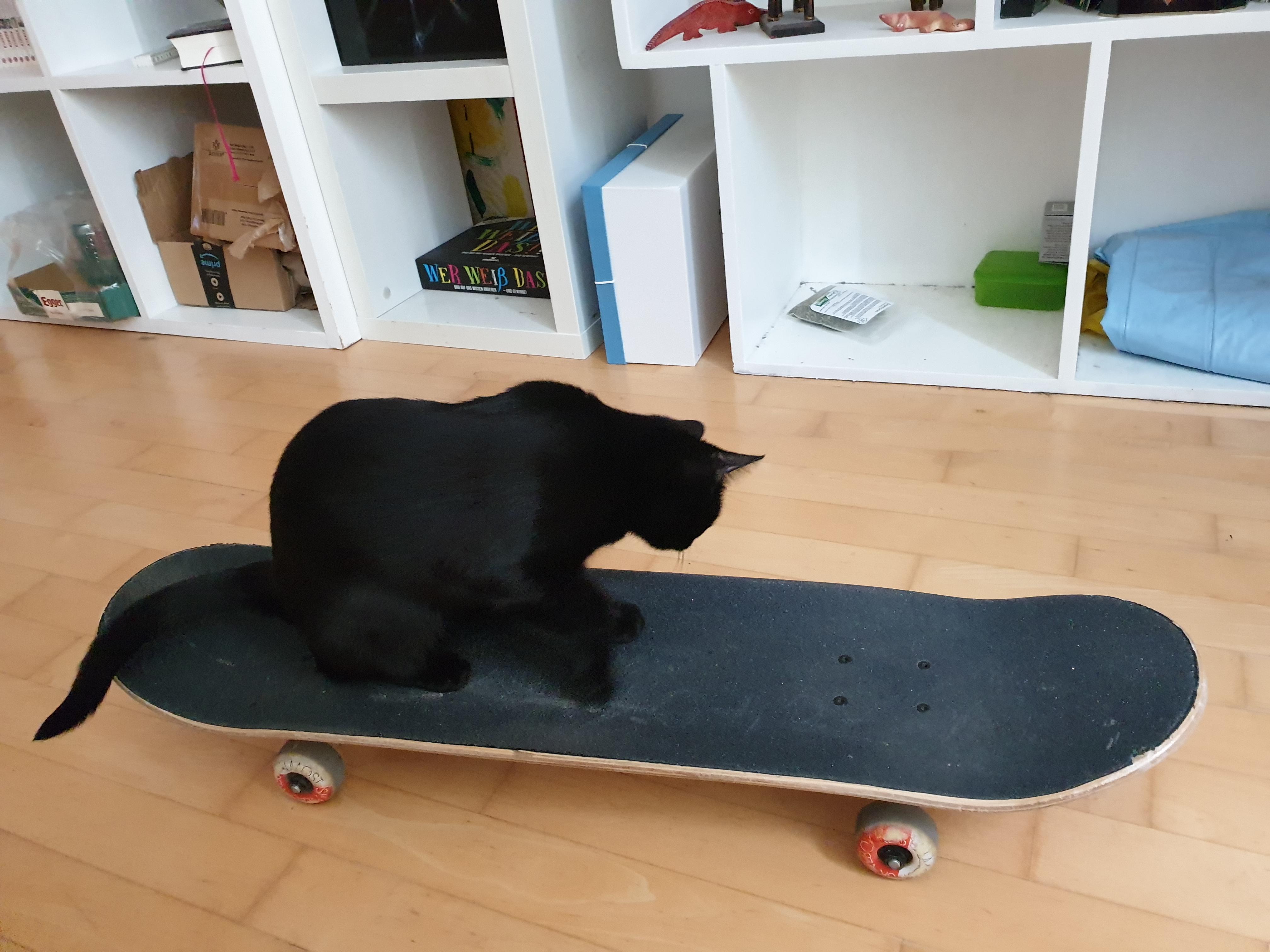 Cat go brrrr r/blackcats