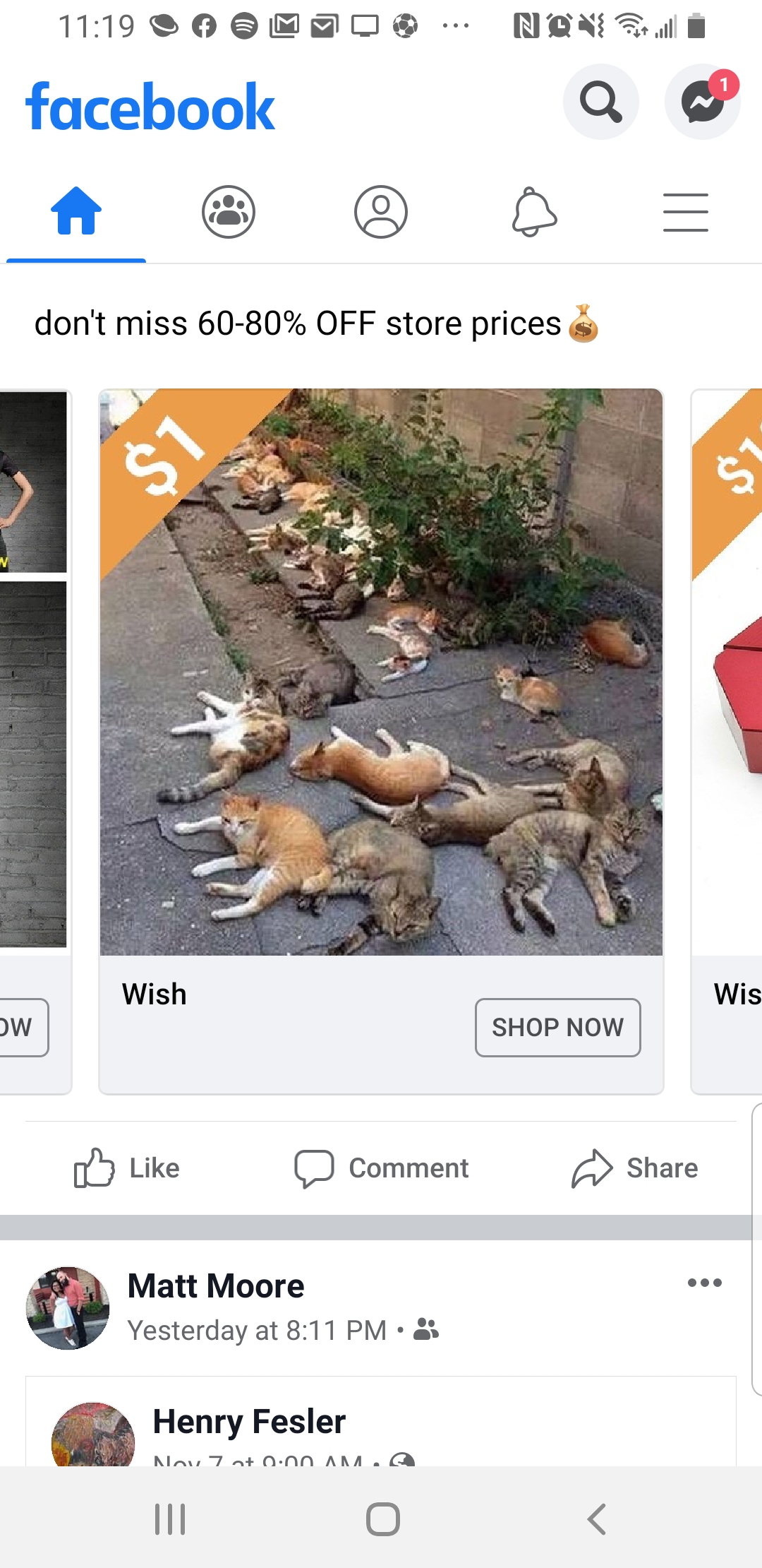 What is for sale here? Feral cats? r/WTFwish