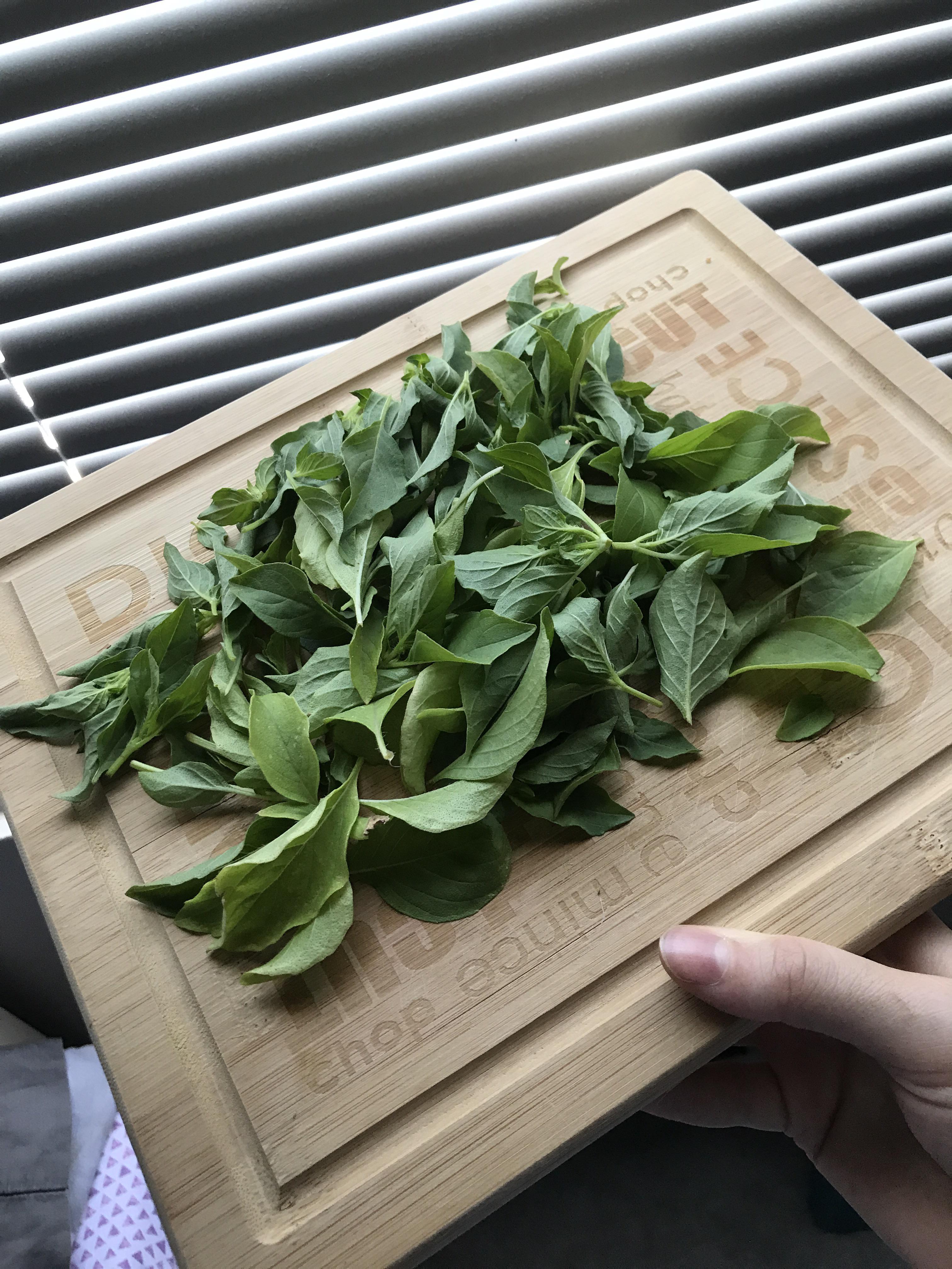 lemon basil harvest in Arizona ☺️ about to make pesto ! r/gardening