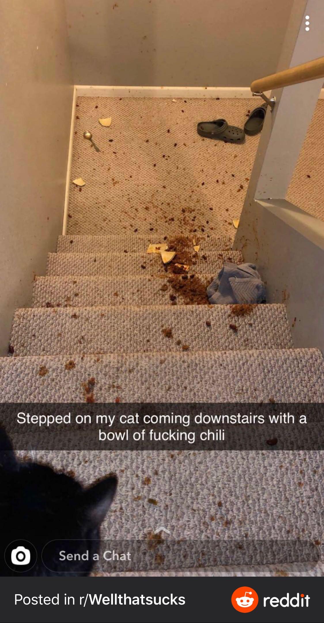 “Stepped on my cat...” r/oddlyterrifying