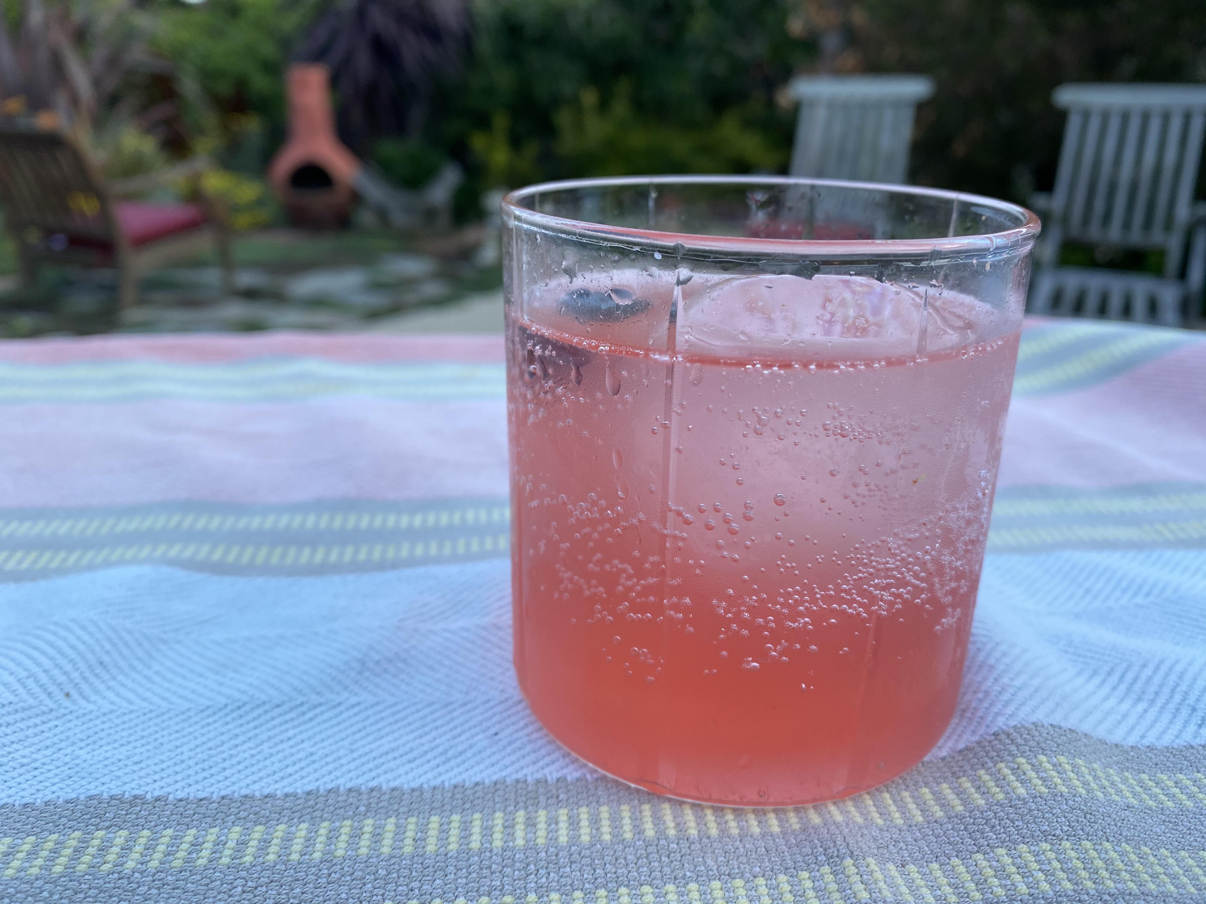 Cherry, apricot, lemonginger gin fizz r/Kombucha
