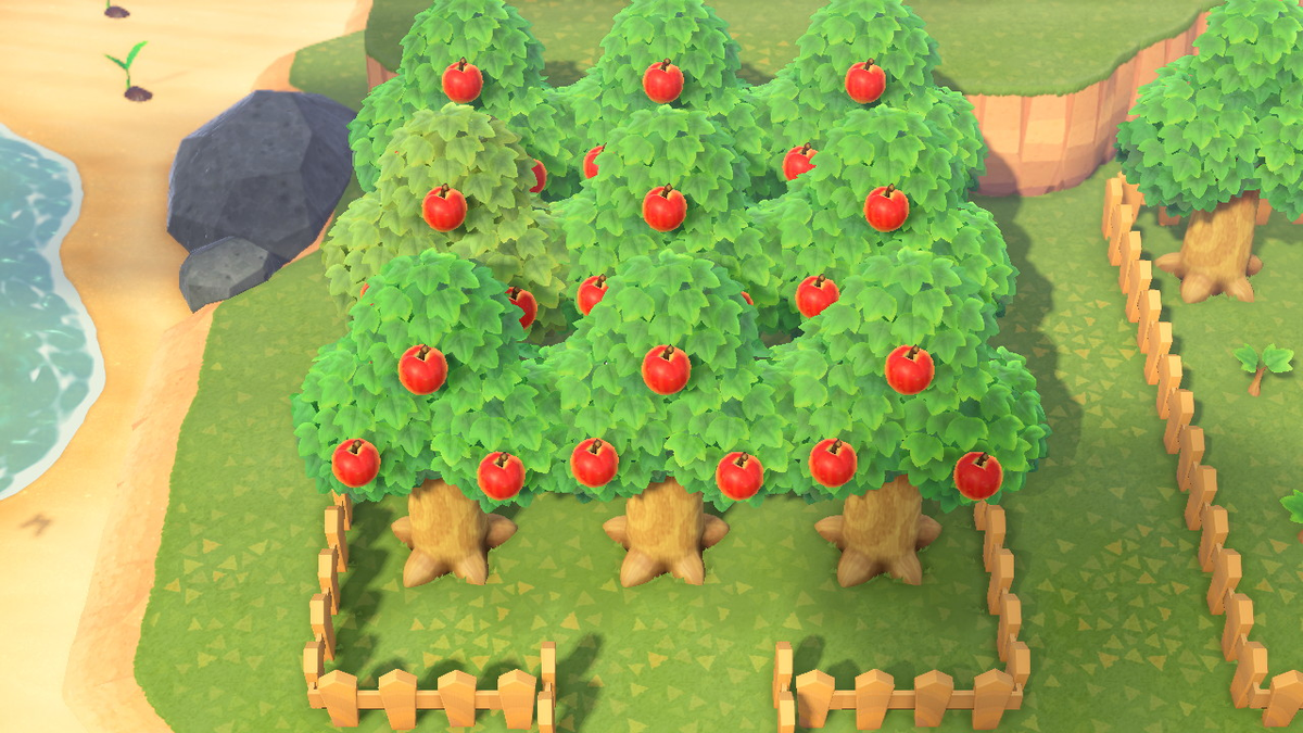 🌳Testing out a new orchard design. So far, it's working perfectly AnimalCrossing