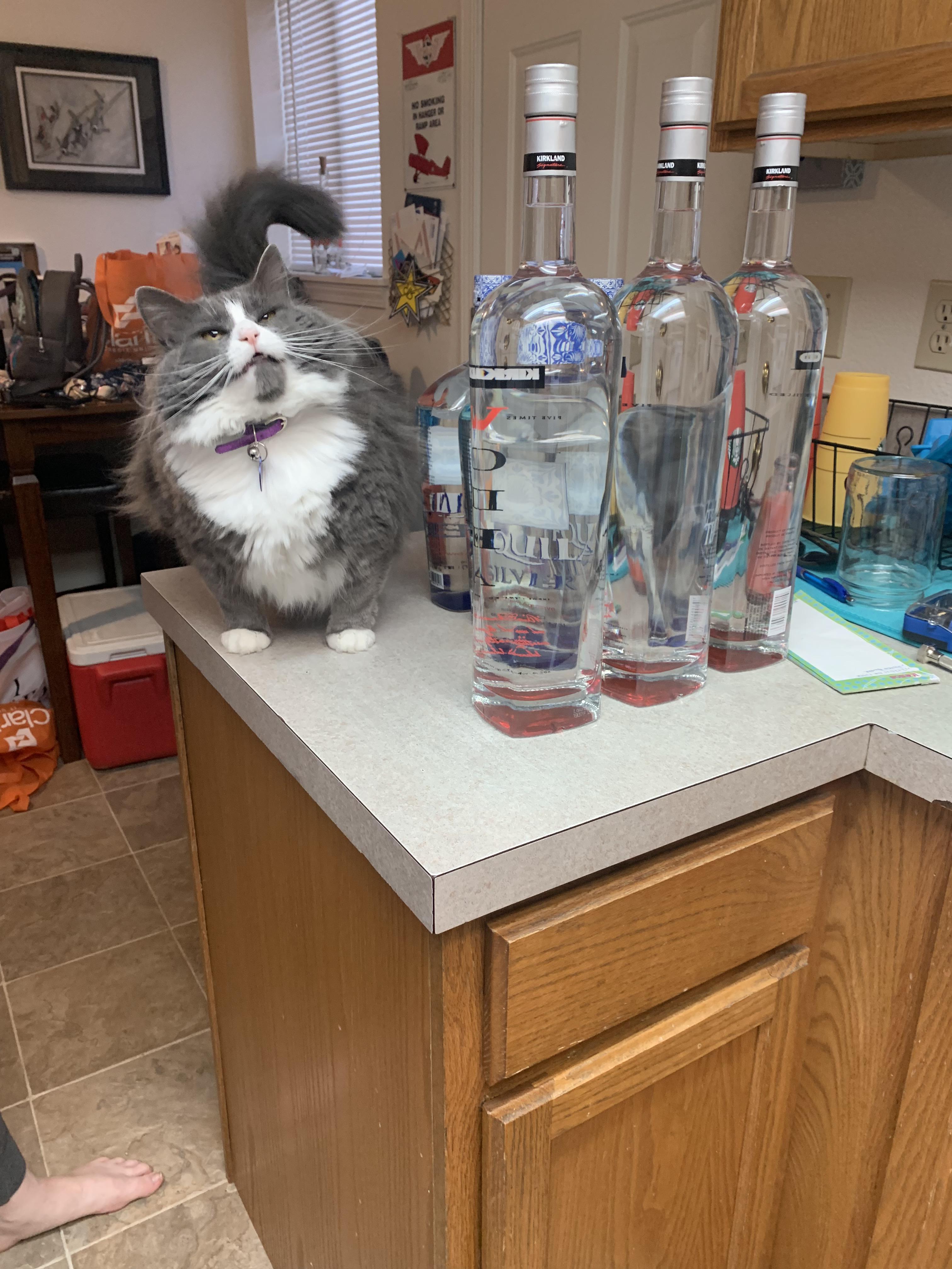 Time to turn up funny