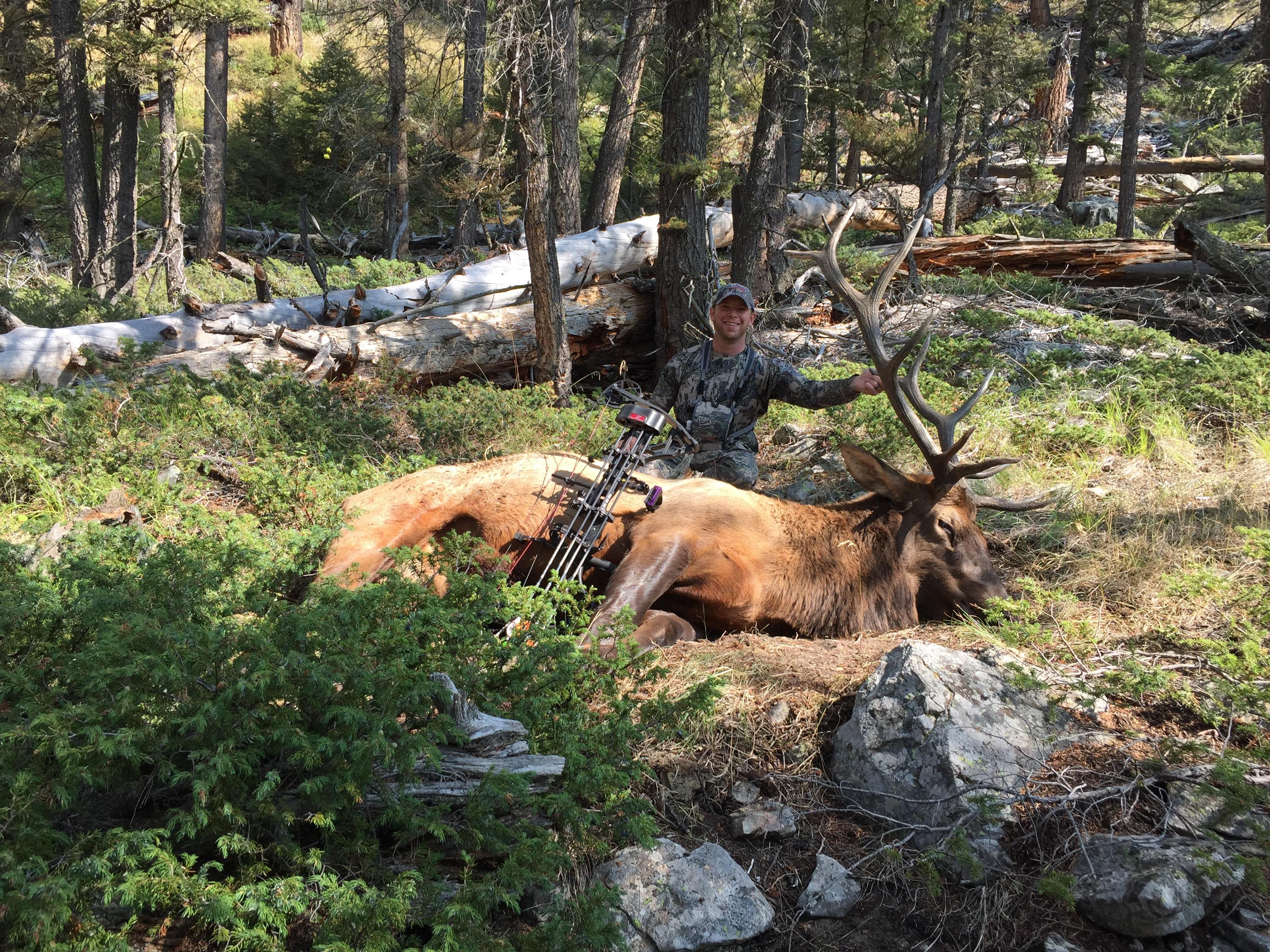 DIY MT public land solo archery bull elk... Shot Sep. 5th, and after a