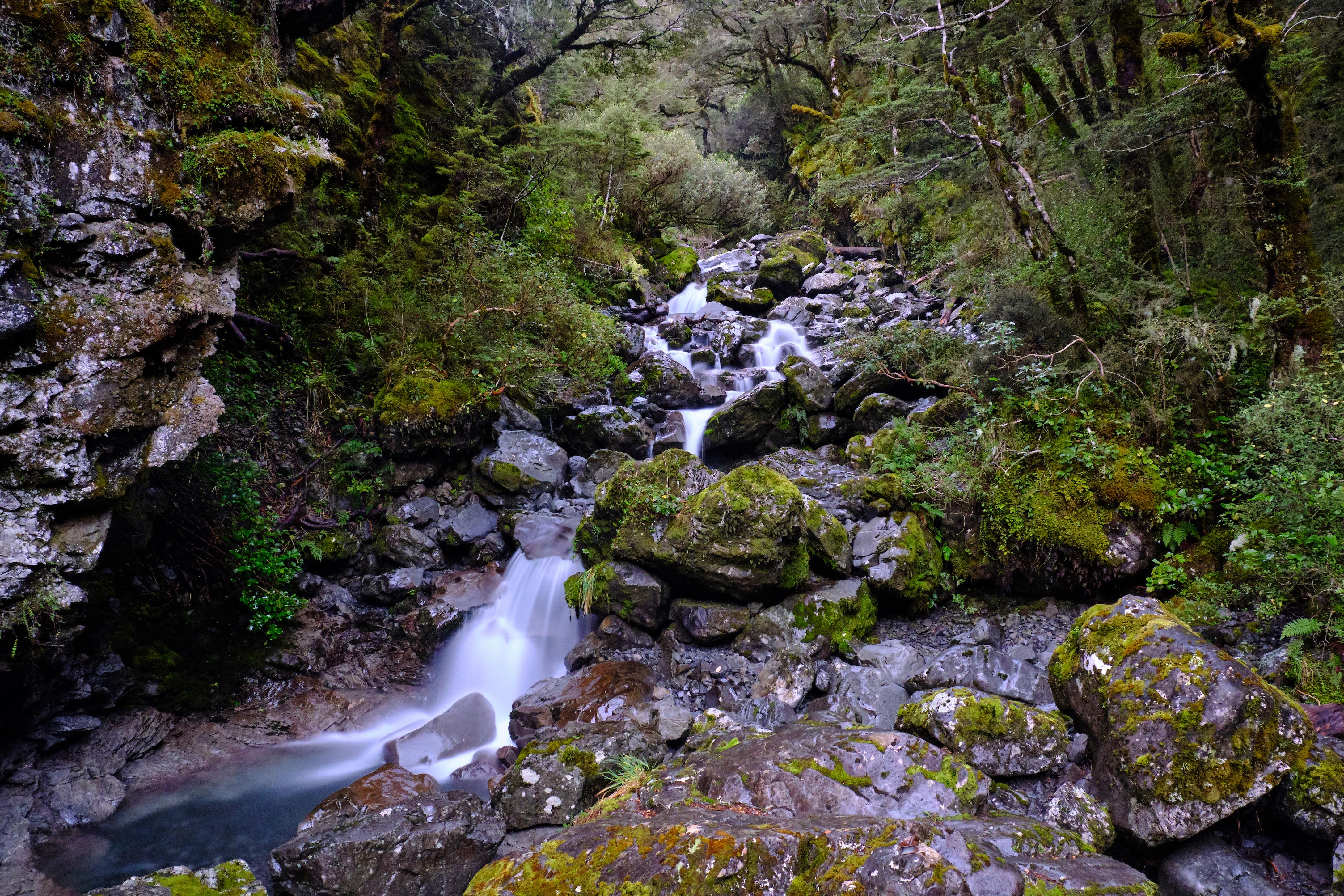 Arthur's Pass, New Zealand [OC] [4350x2900] r/EarthPorn