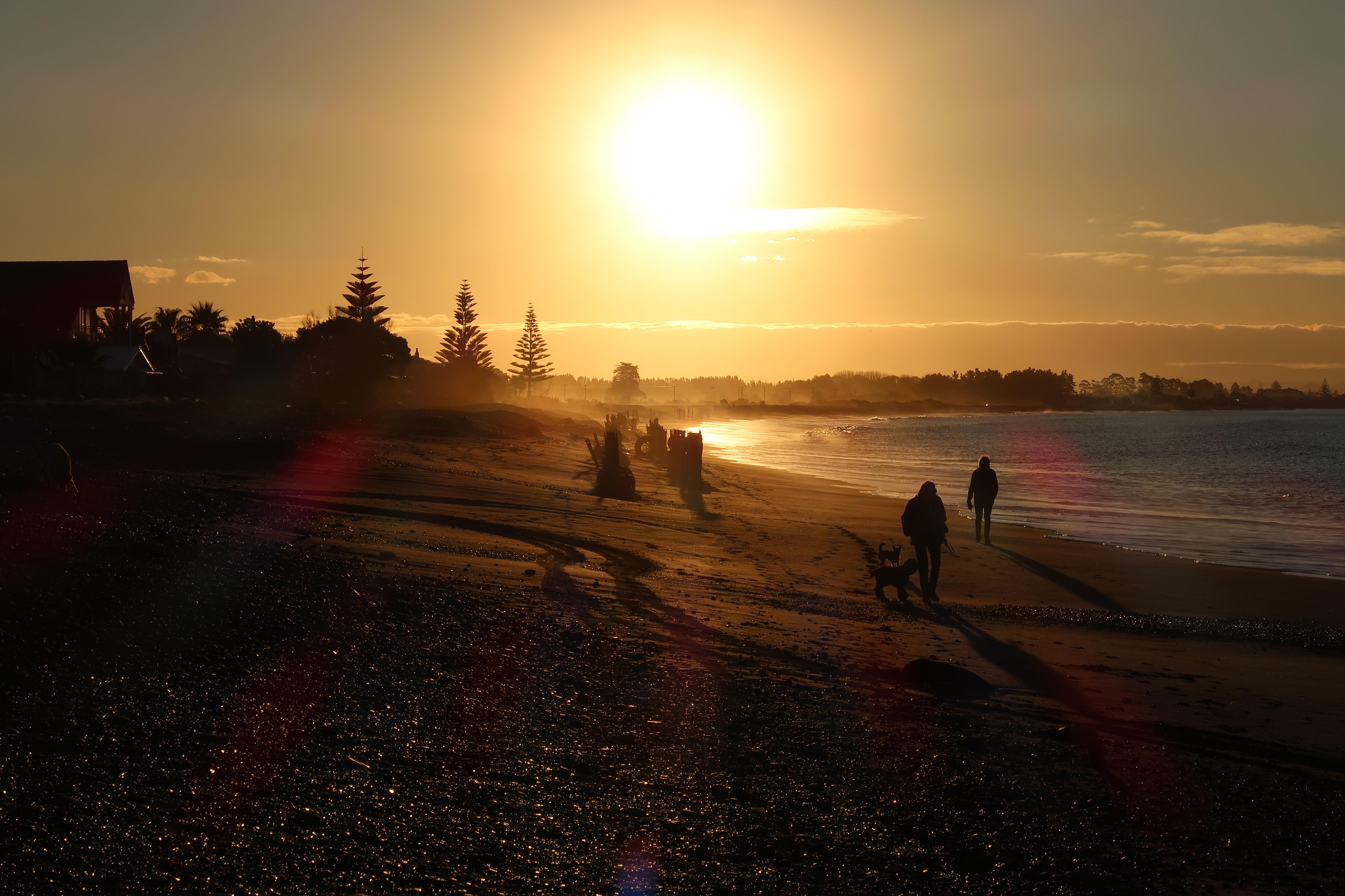 The sunset was beautiful. Te awanga, New Zealand. r/pics