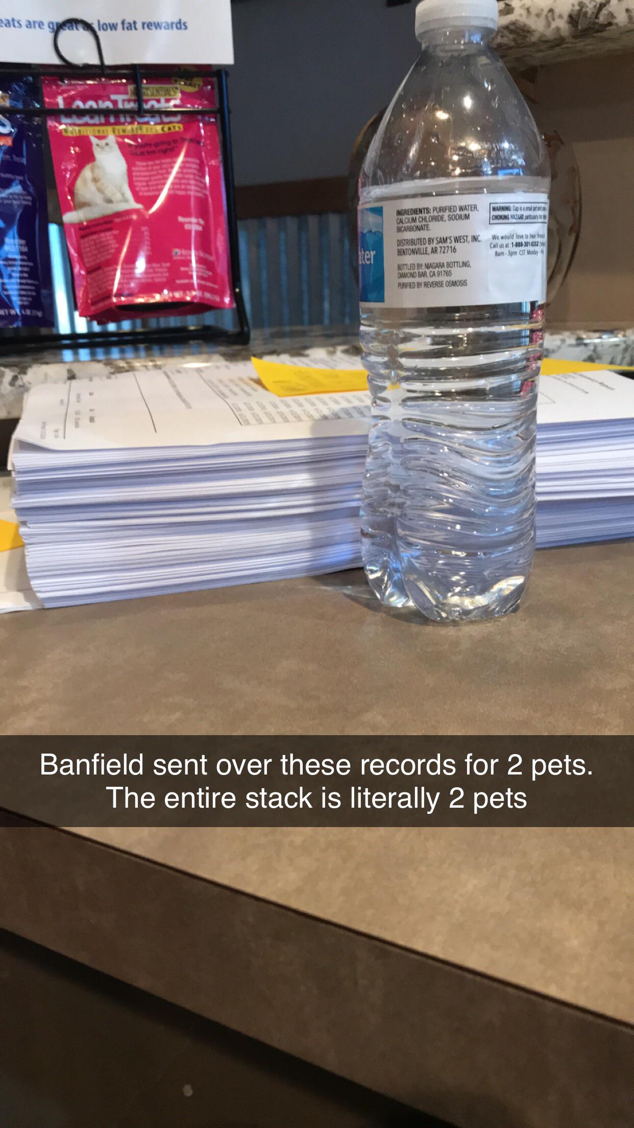 99 best Banfield images on Pholder CAB Oficial, Boca Juniors and CA