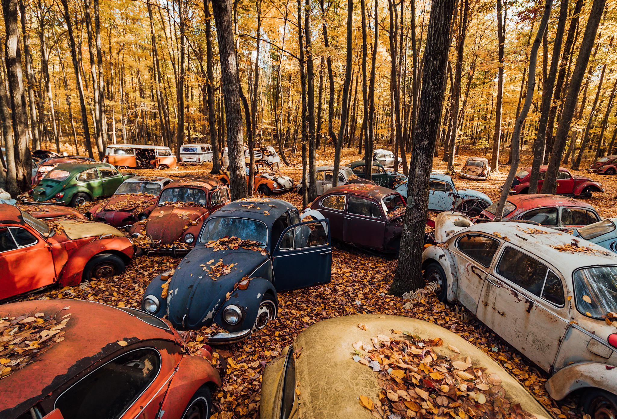 Volkswagen Graveyard. Check out these East Coast fall vibes r