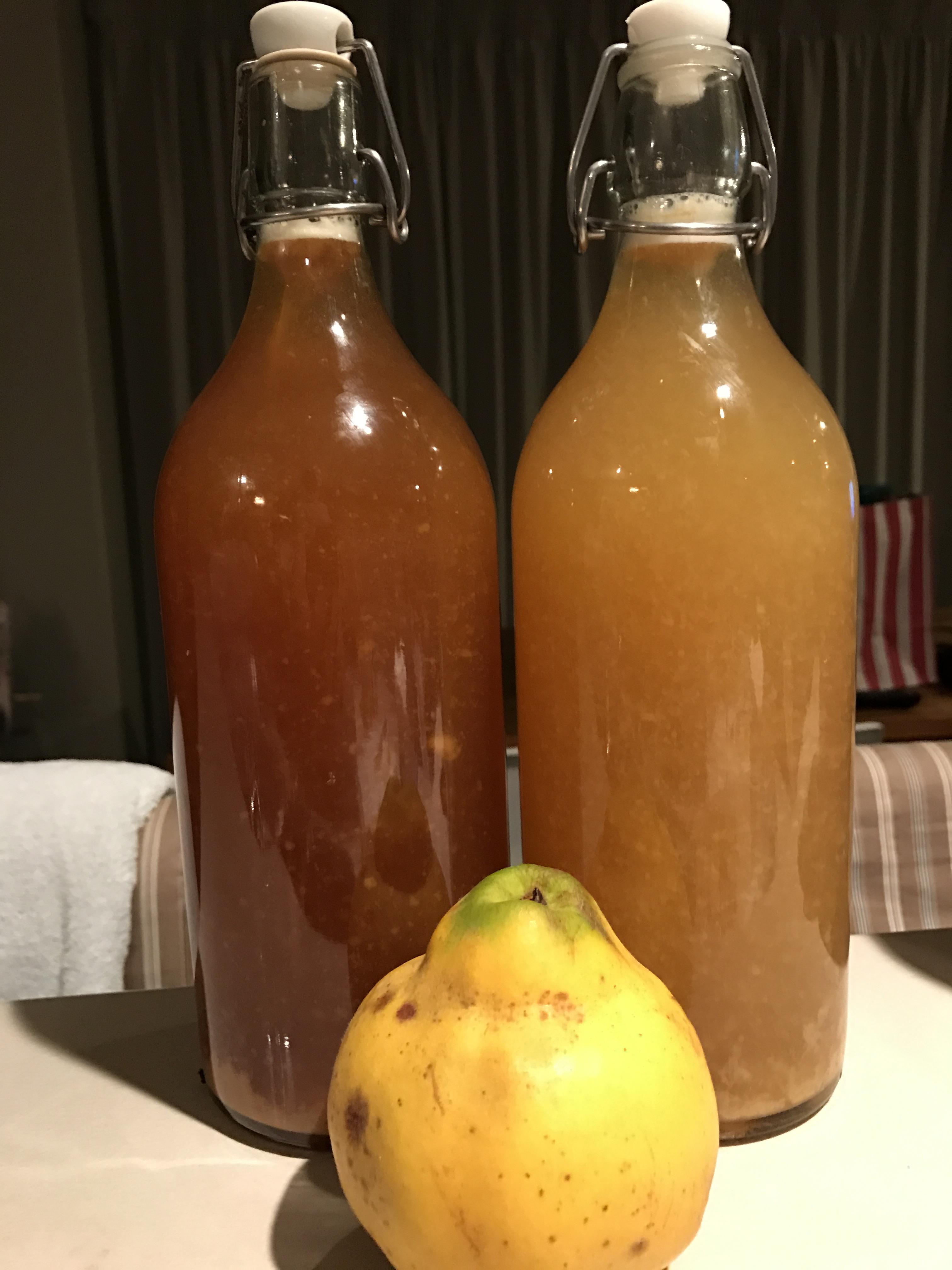 F2 Quince Kombucha Green and Black Tea r/Kombucha