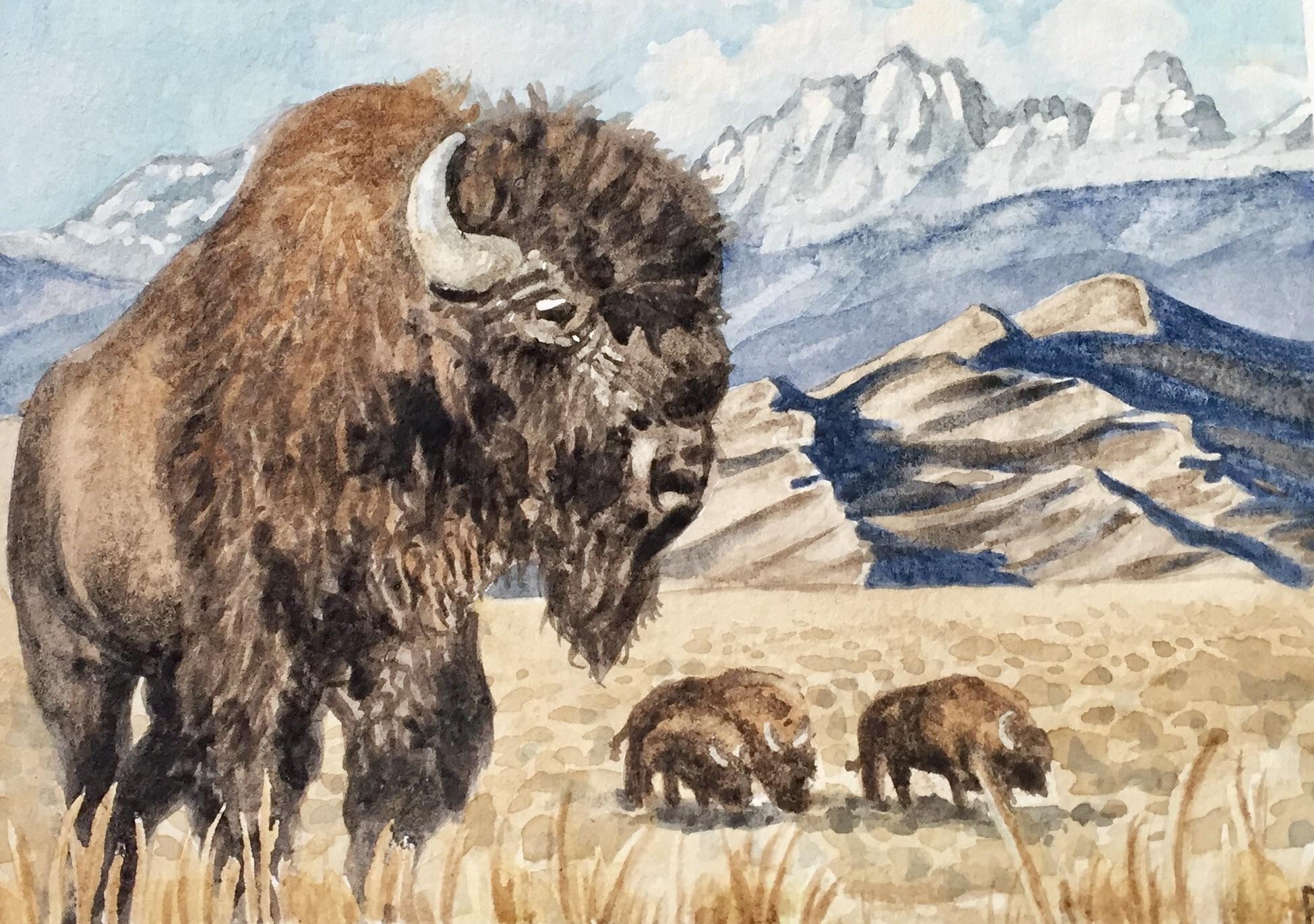 Great Sand Dunes NP, Watercolor, 8x6" r/Art