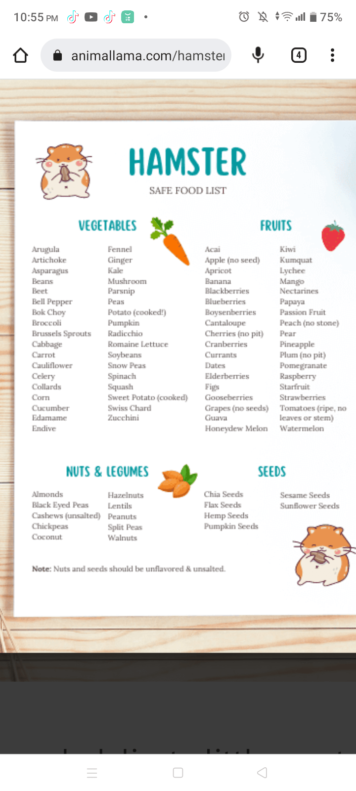 this are the list of safe foods for hamster🥰🥰 r/hamsters