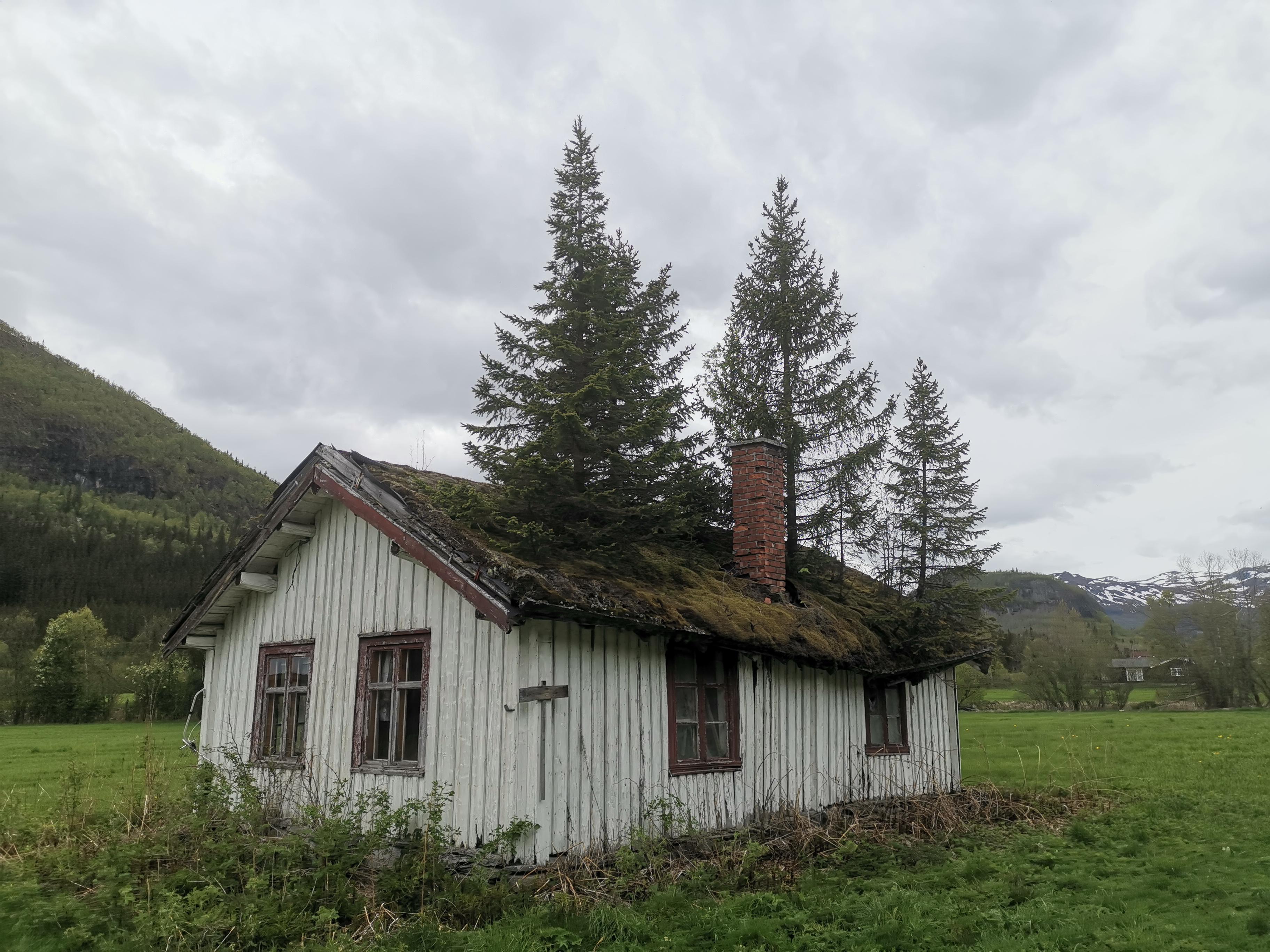 Nature reclaiming this house (Hemsedal Norway) r/WTF