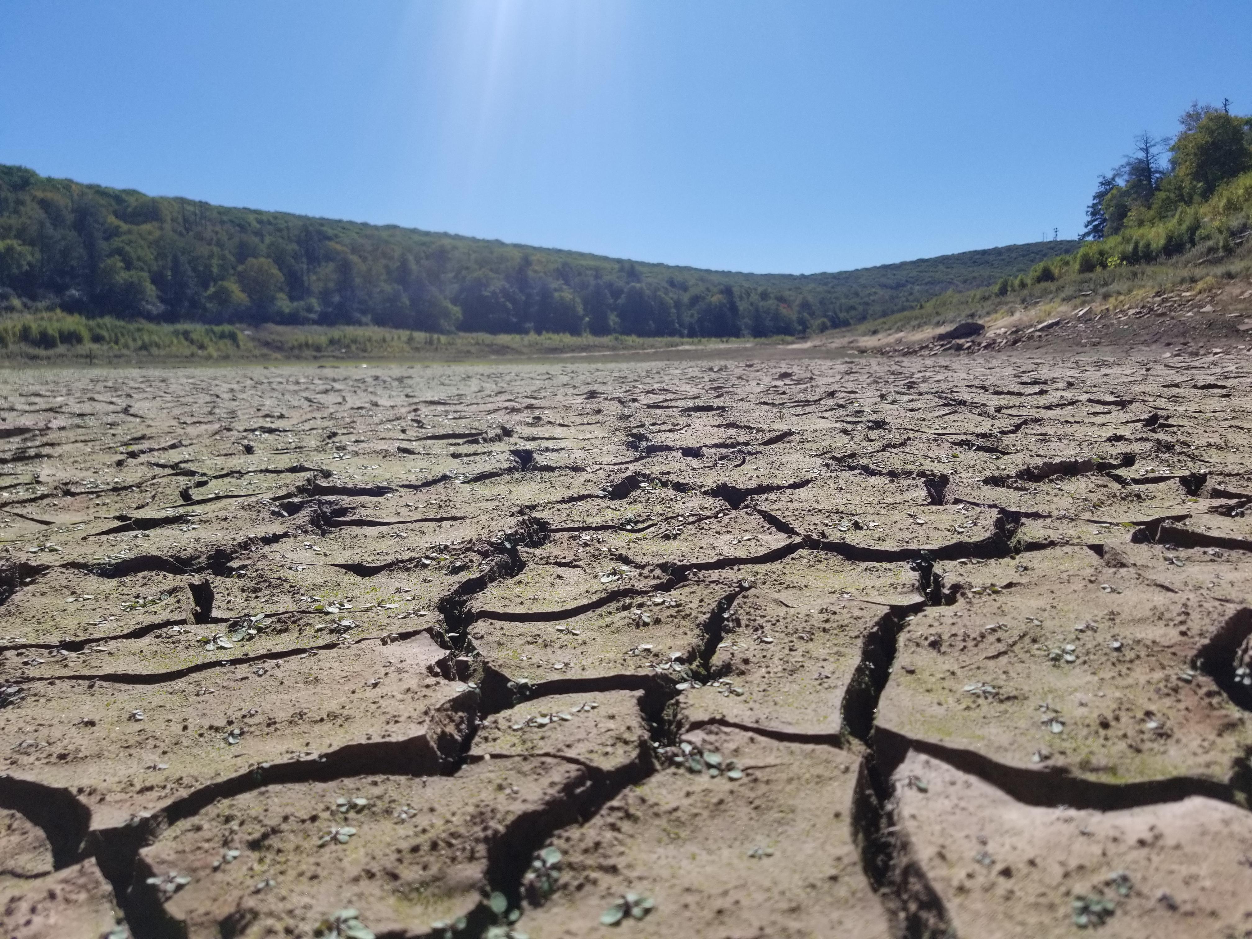 A quick hike to the lake bed of Mountain Lake in Pembroke, Va A unique experience! r