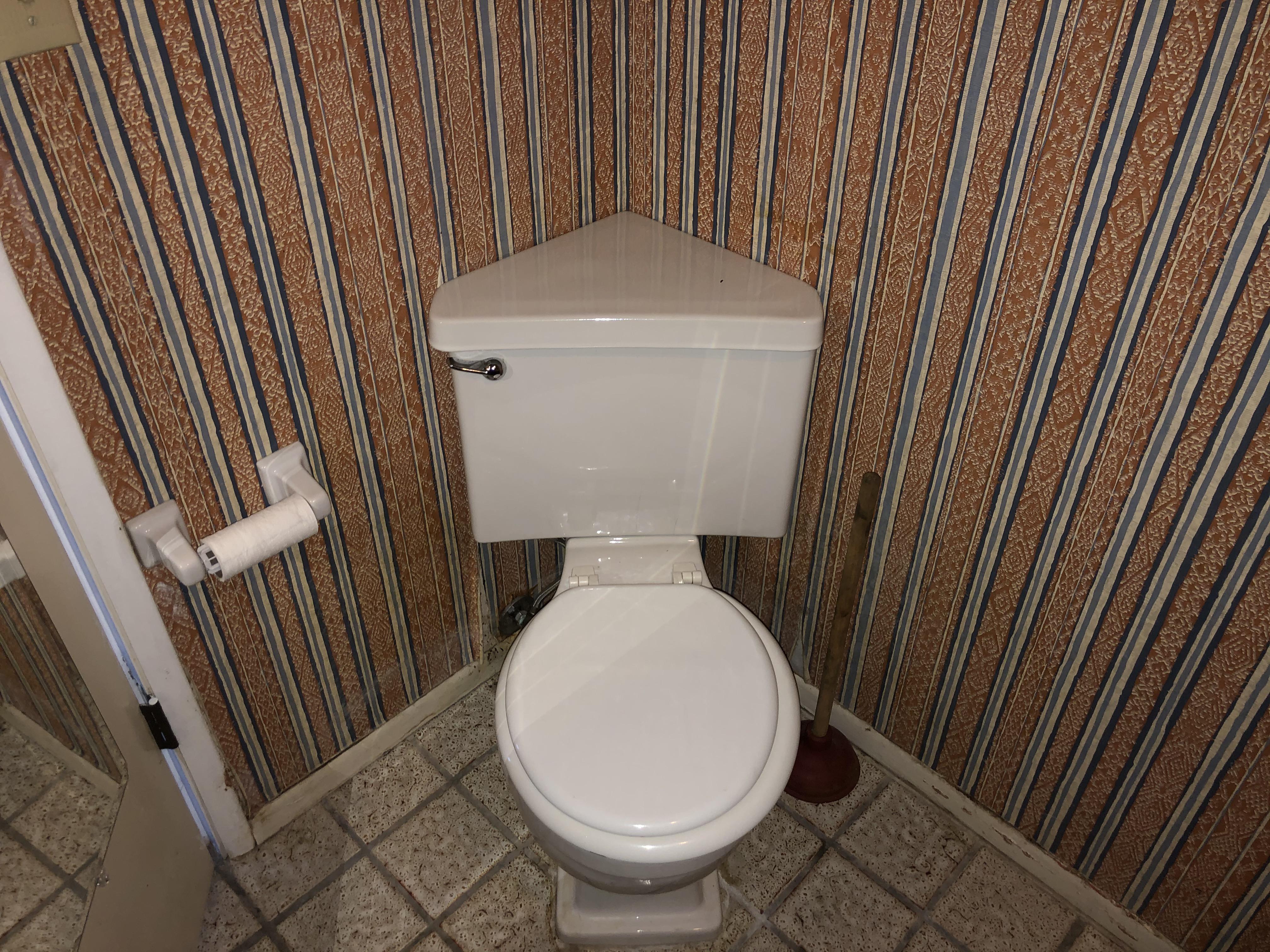 A corner toilet. r/mildlyinteresting