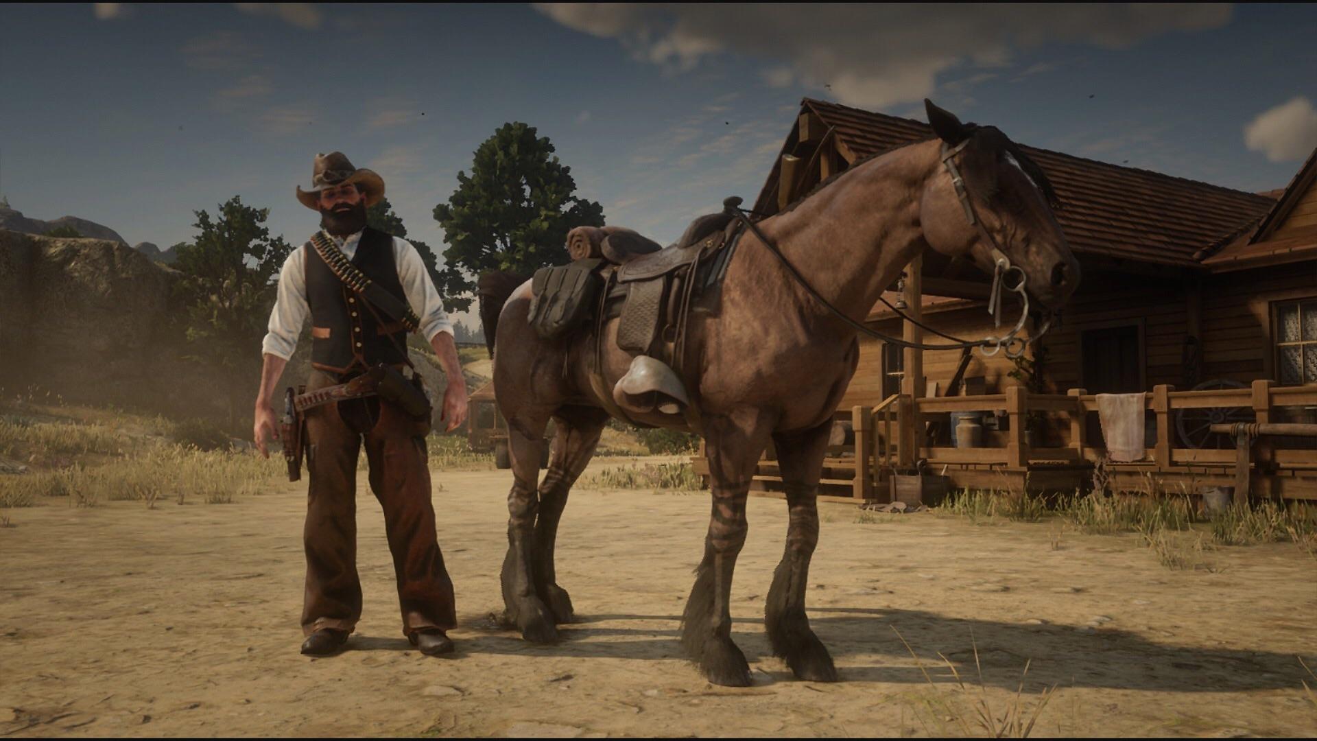 Favorite New Horse Tiger Striped Bay Mustang r/reddeadredemption2