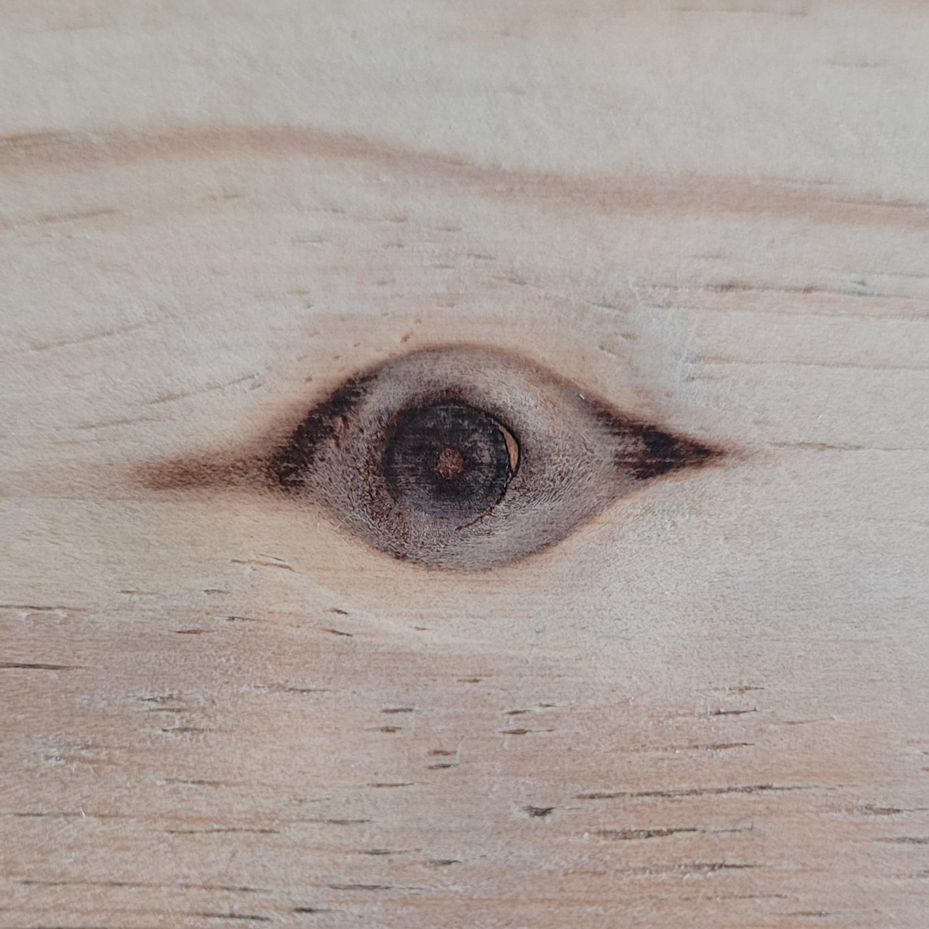 Eye Knot in this wood r/Pareidolia