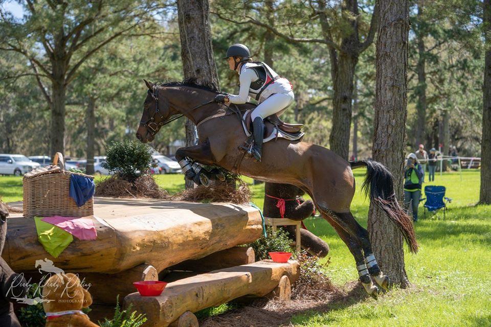 FEI/CCI4* Level jump. Eventing