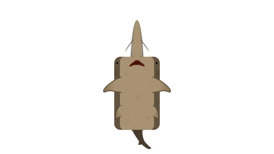 the Return of Sixgill Sawshark Shin_Godzilla