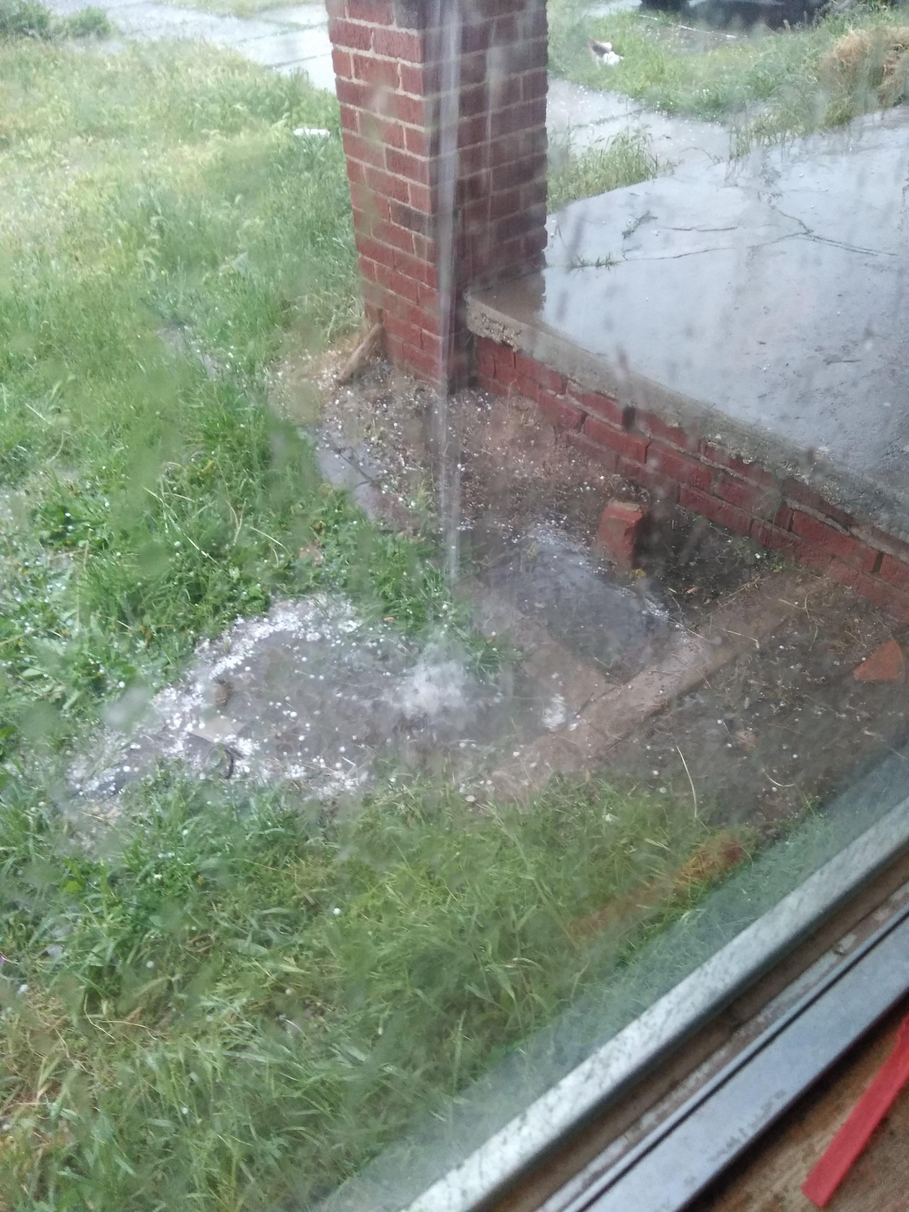 What to plant in a flower bed that floods if i can at all. r/garden_maintenance