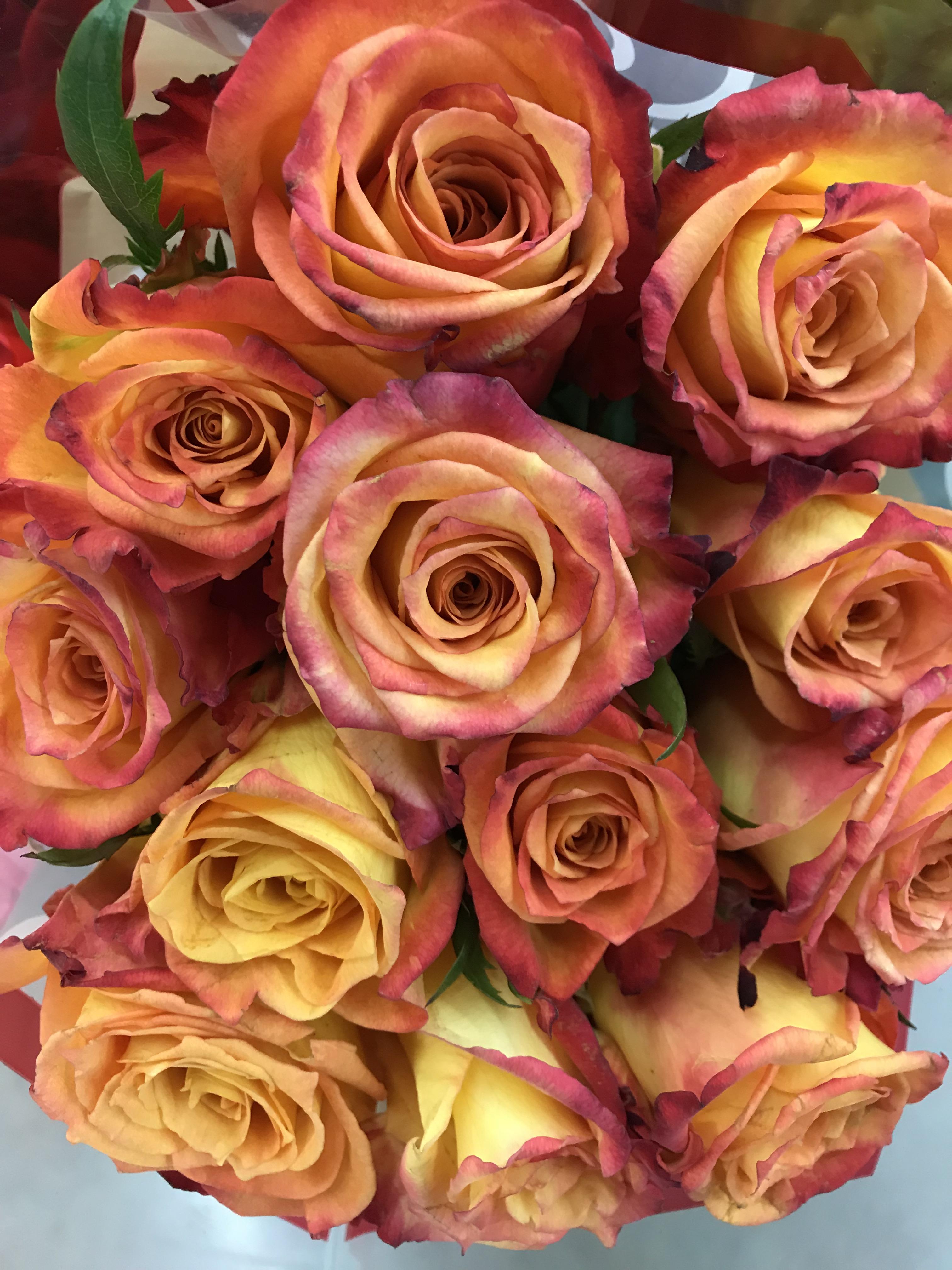 Grocery store roses r/flowers
