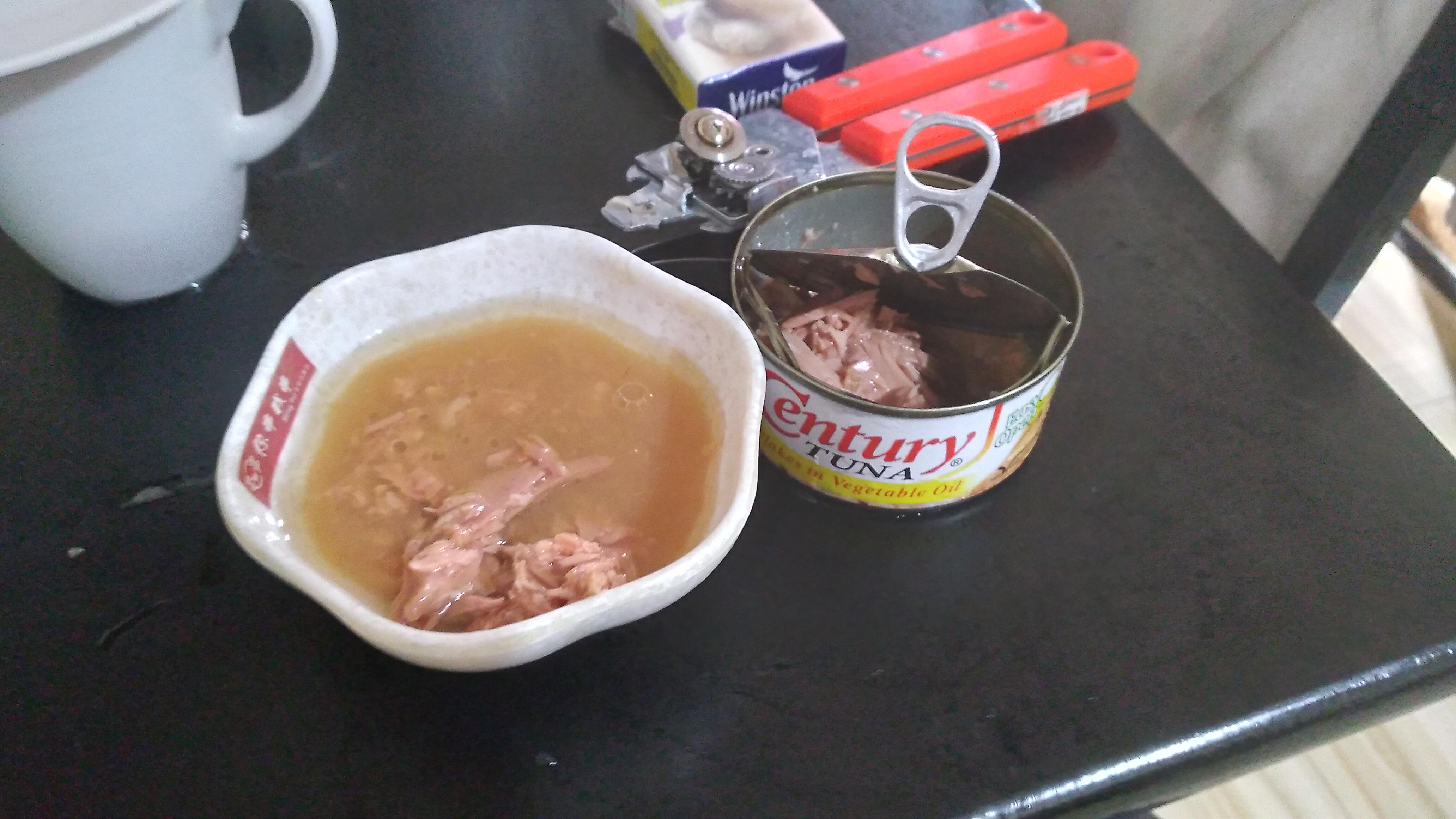 Open Tuna Can