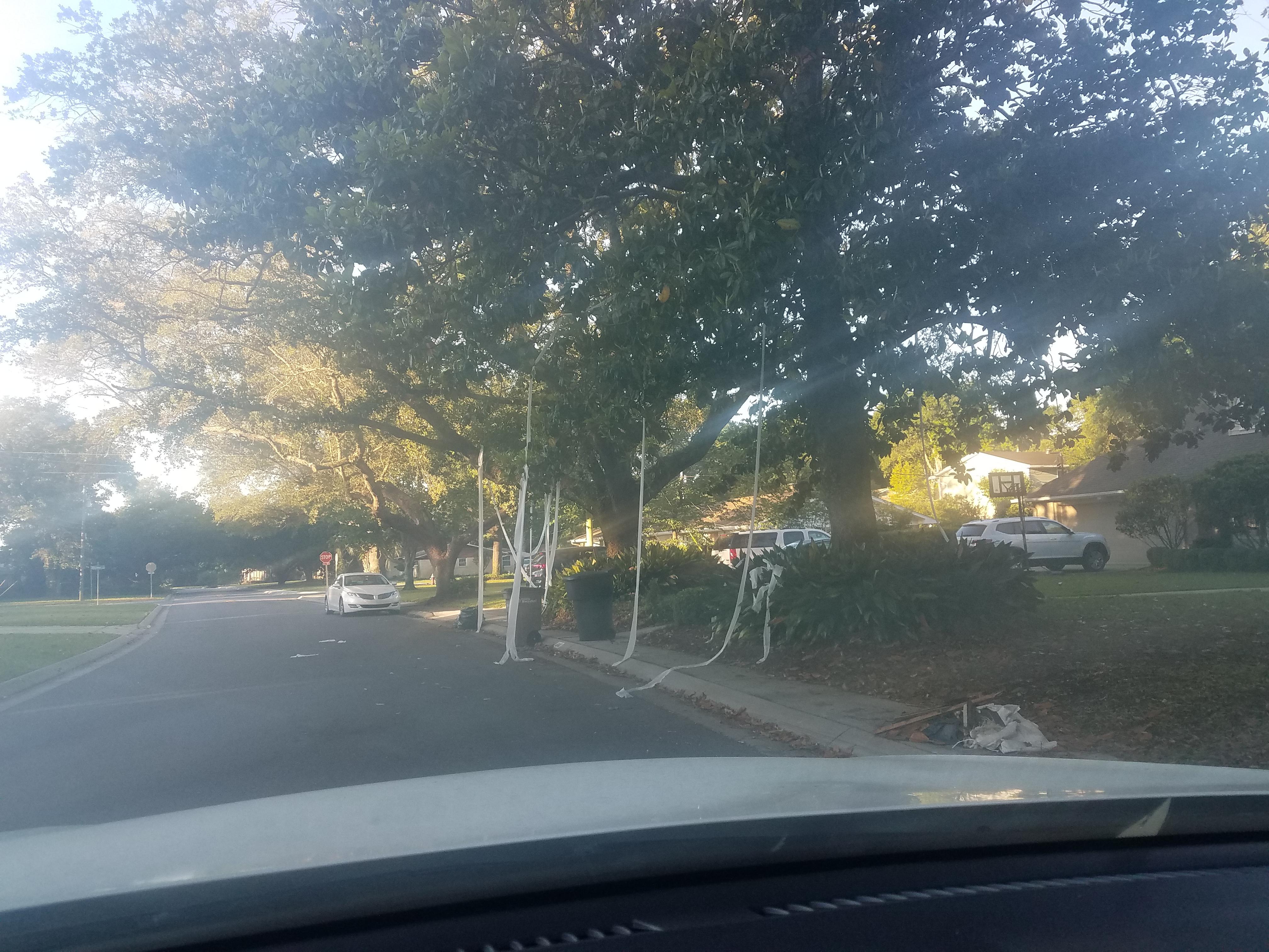 Everything is back to normal in Cordova Park r/Pensacola