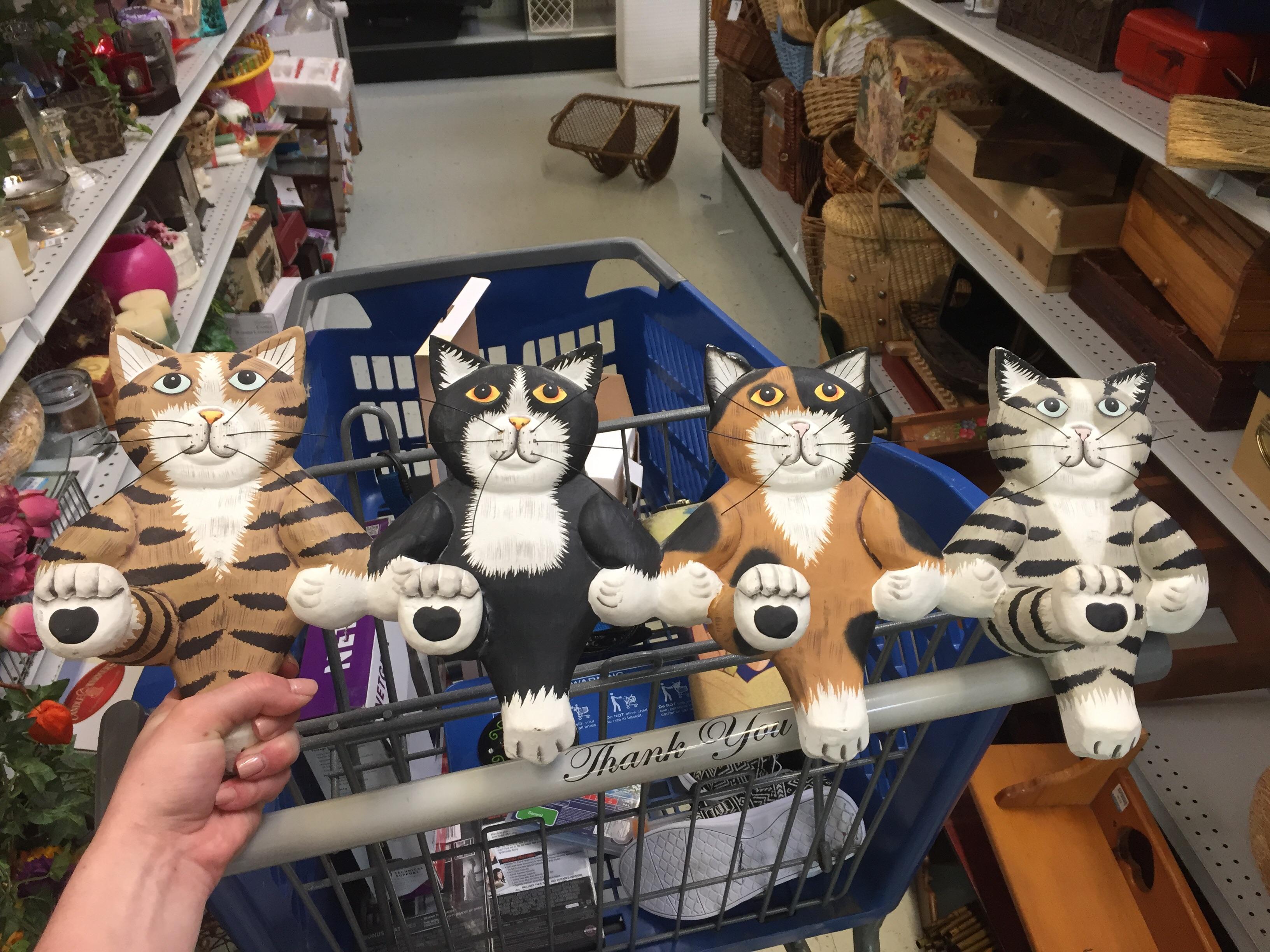 Found this cat cancan coat rack at goodwill today! I thought fellow