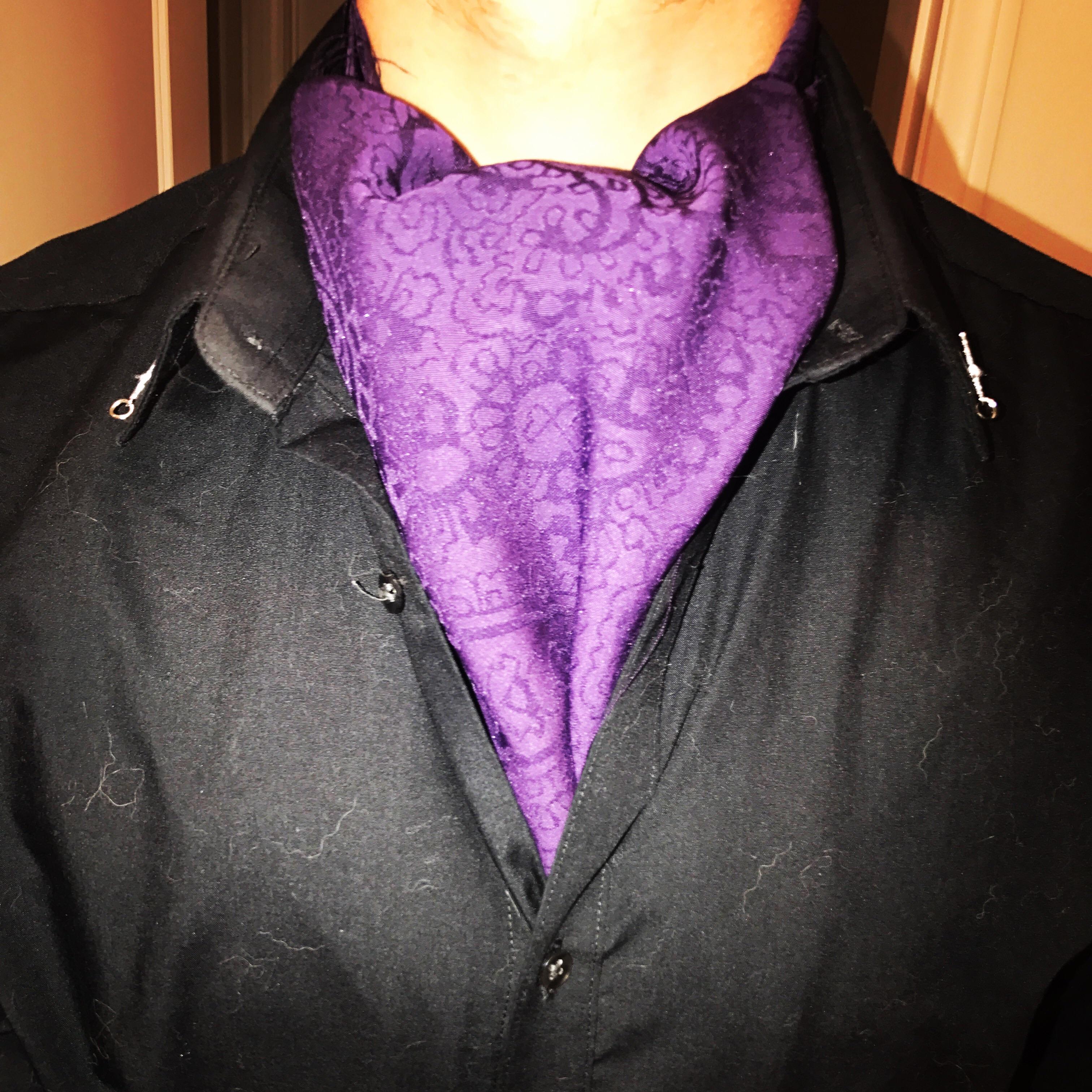 Pardon the dog hair on my shirt, but I just finished sewing this ascot