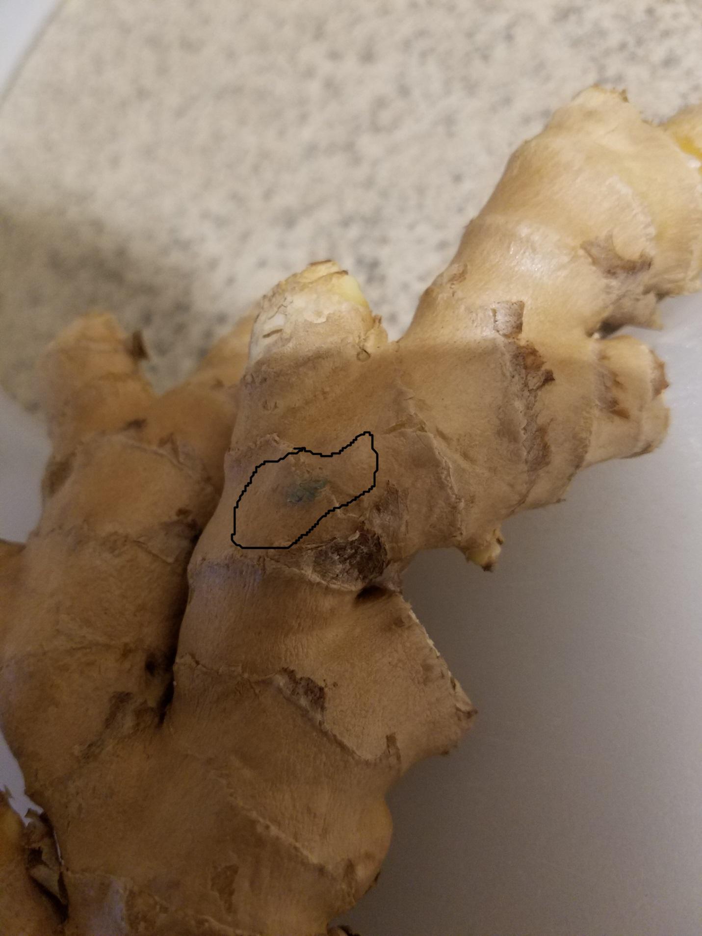 Does this fresh ginger have mold on it? r/fermentation