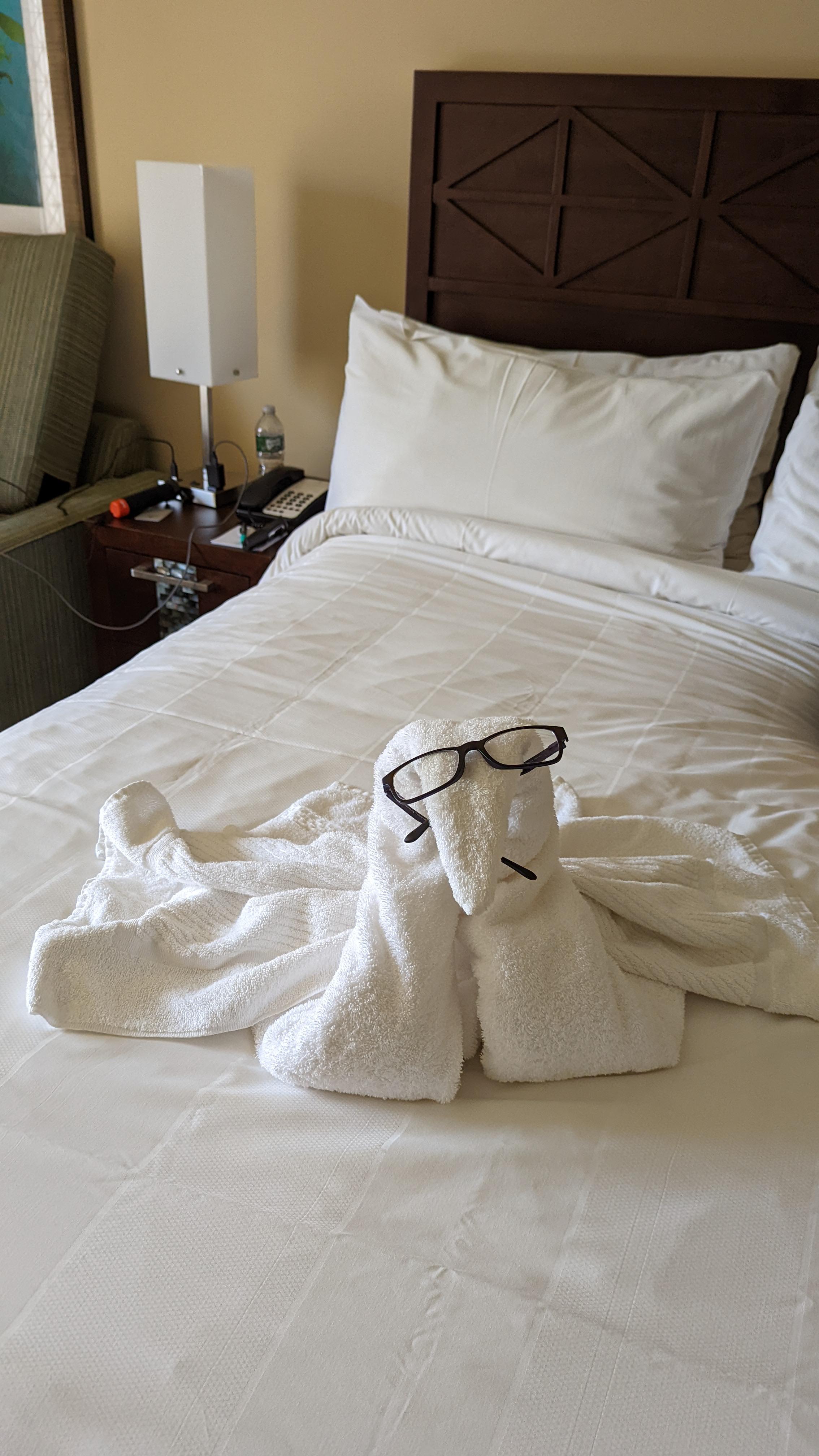 Hotel room service had some fun with my glasses r/mildlyinteresting