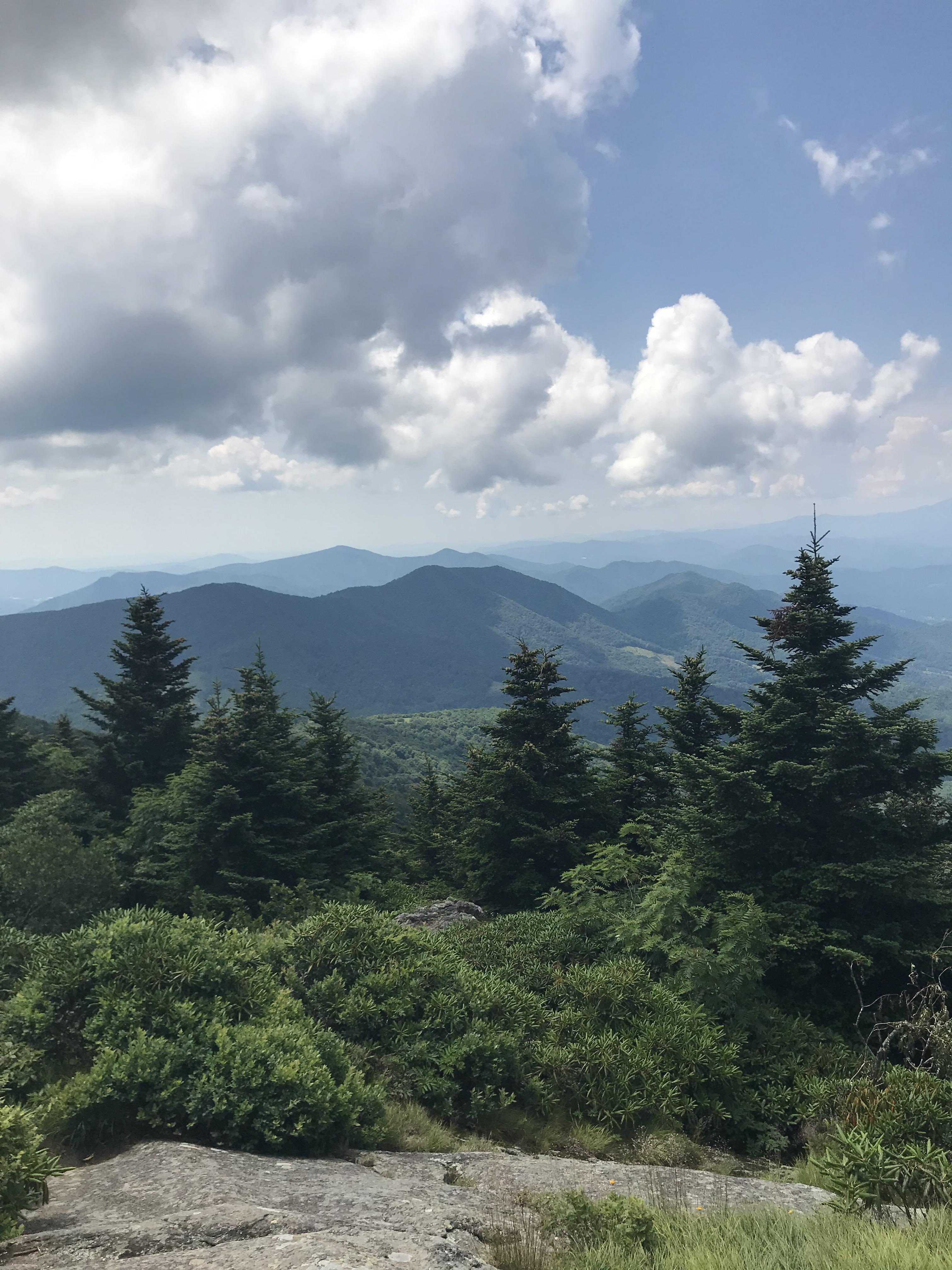 Grassy Ridge Bald, Appalachian Trail Roan Mountain, Carvers Gap, Pisgah