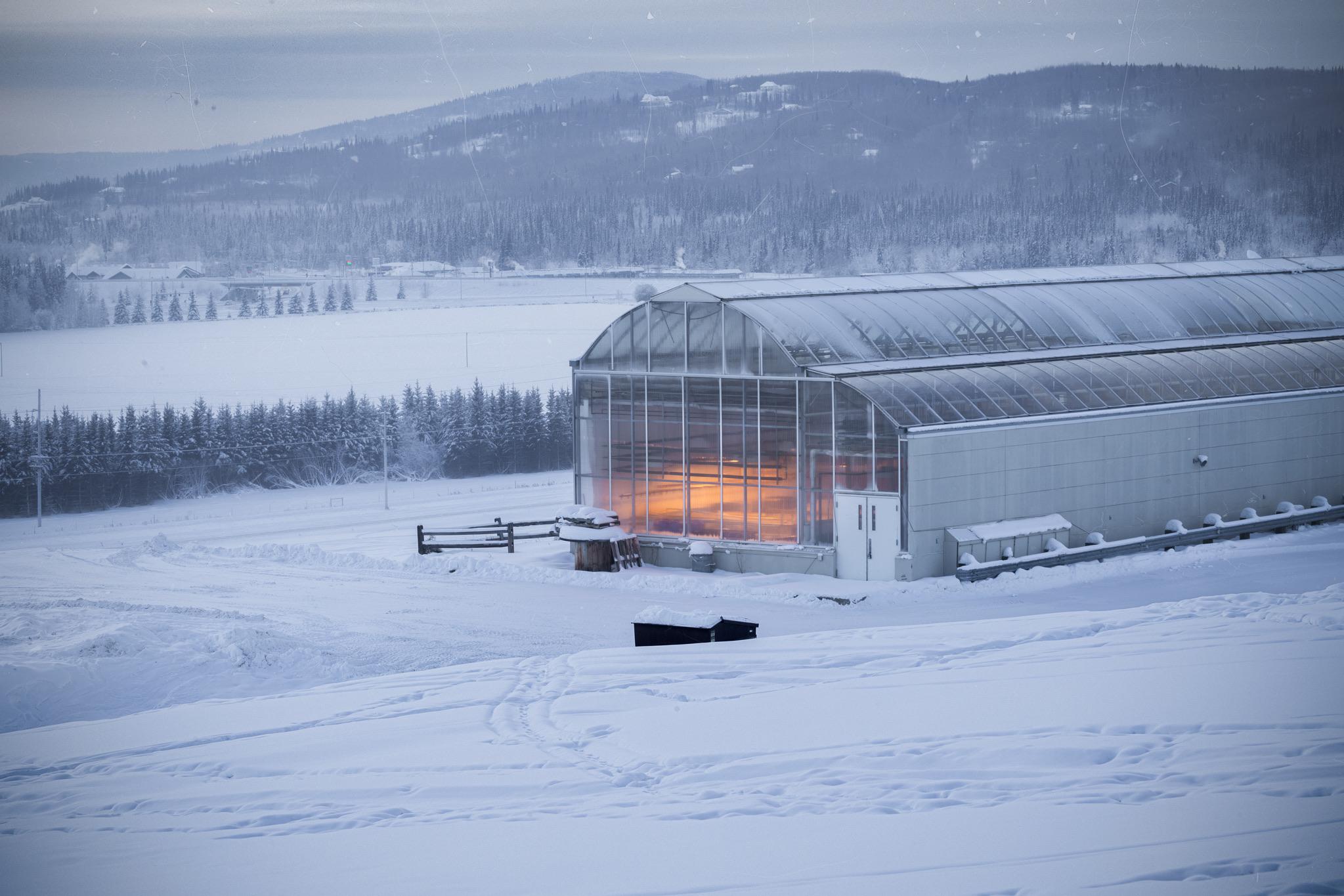 Greenhouse in Fairbanks, AK r/alaska