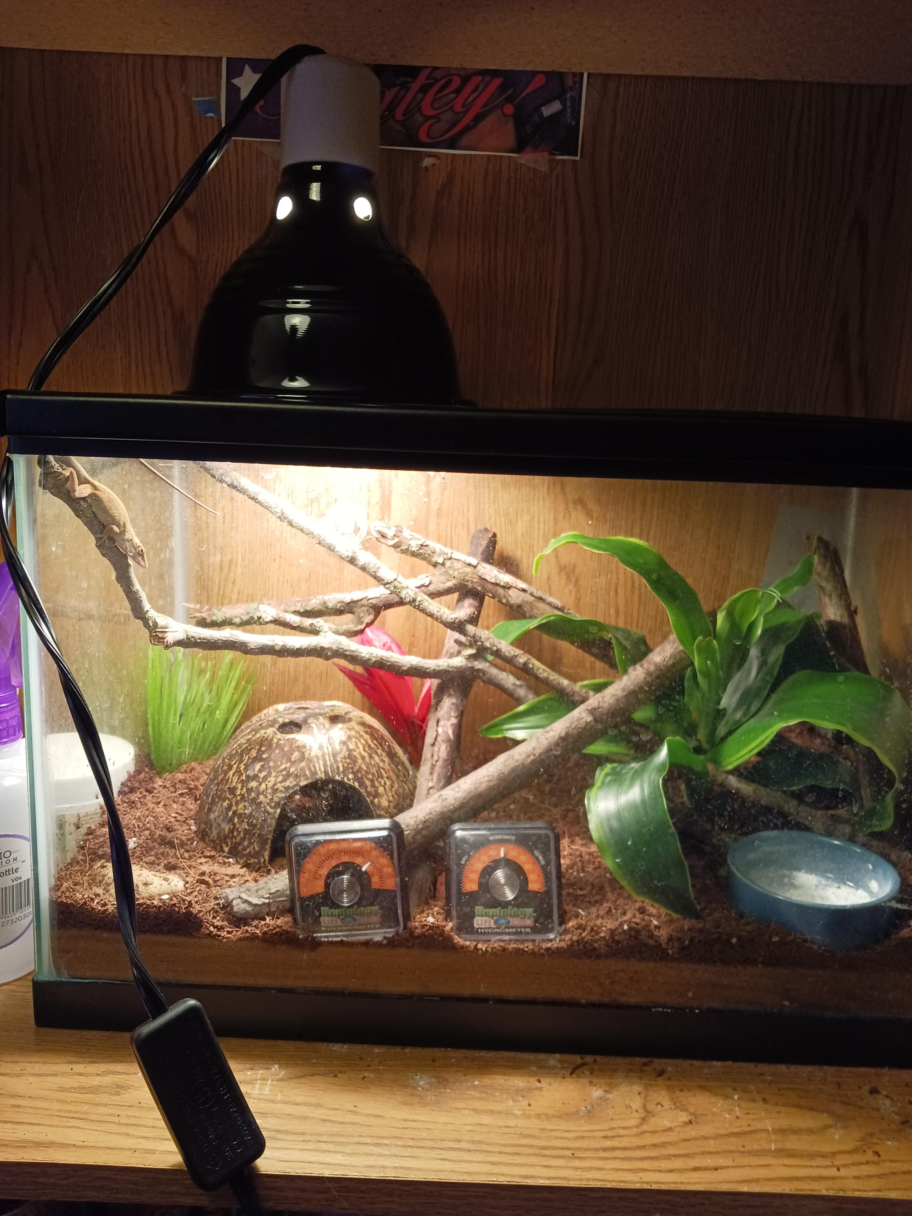 The vet had told me the temperature was too cold in Glory's enclosure