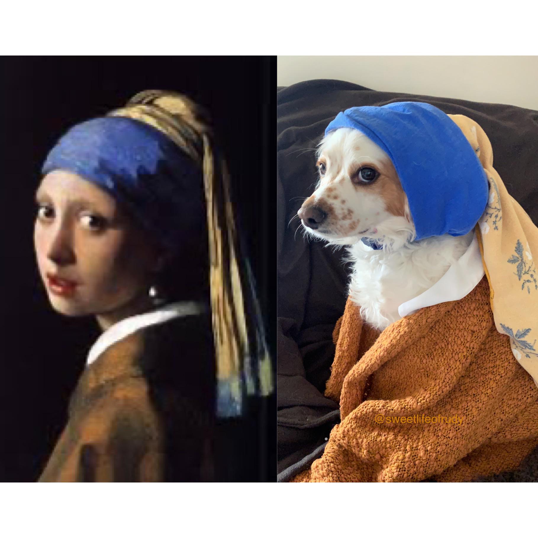Dog with the pearl earring woof r/GettyMuseumChallenge