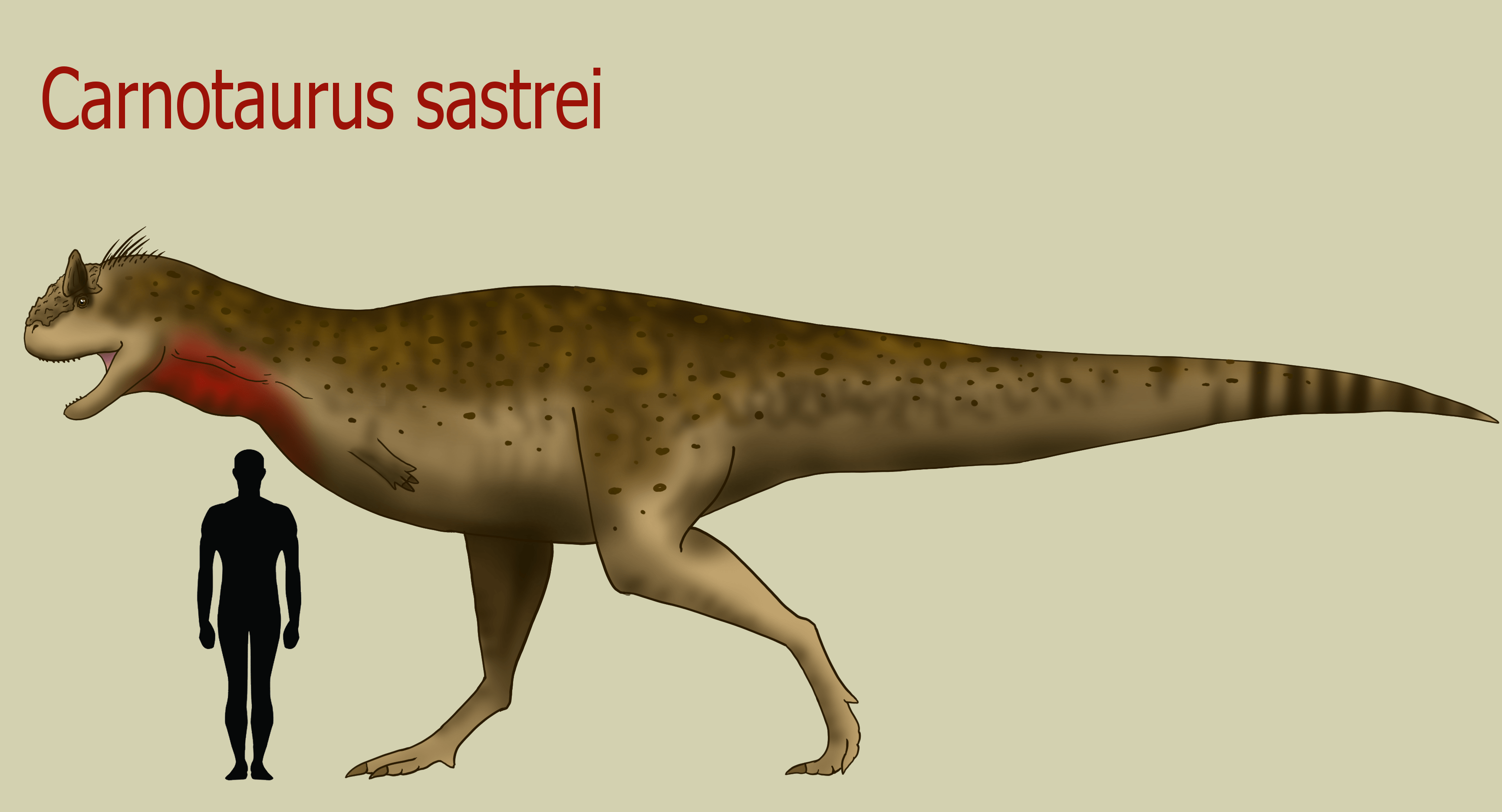 New information tells us Carnotaurus lacked the boney dermal armor