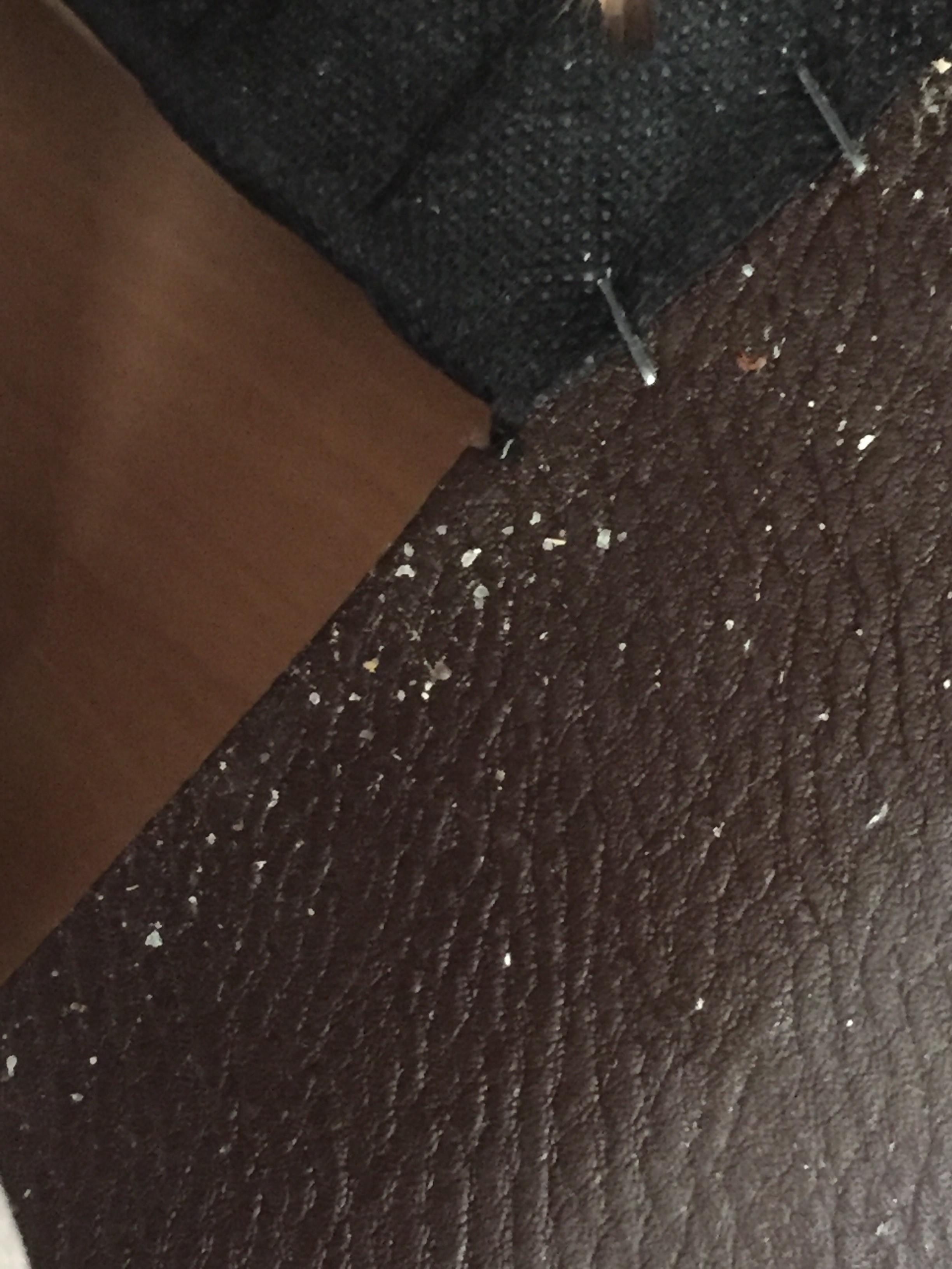 Are these bed bugs eggs? r/Bedbugs