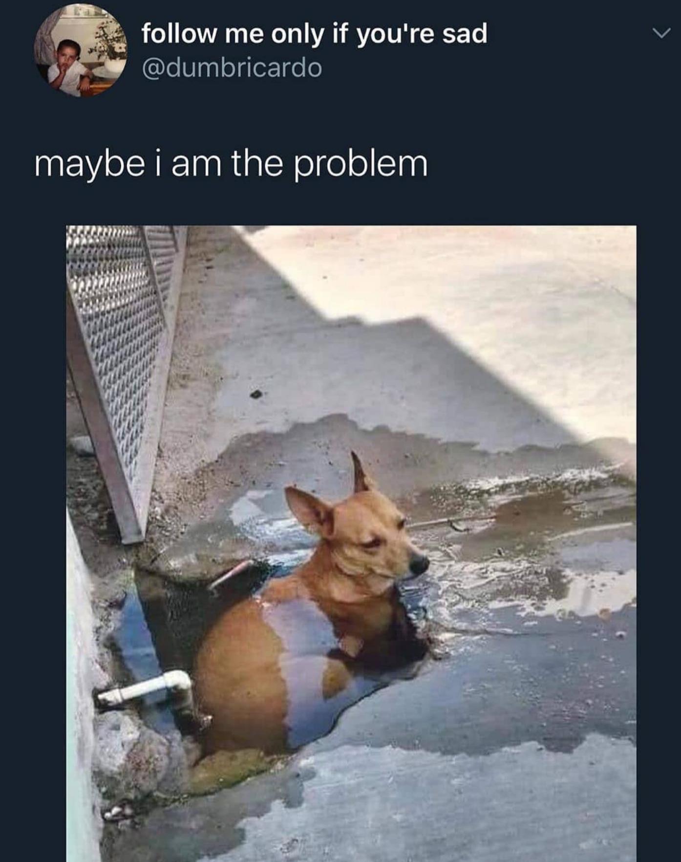 Tried to do final yeet today but was too much of a bussy. selfharm_memes