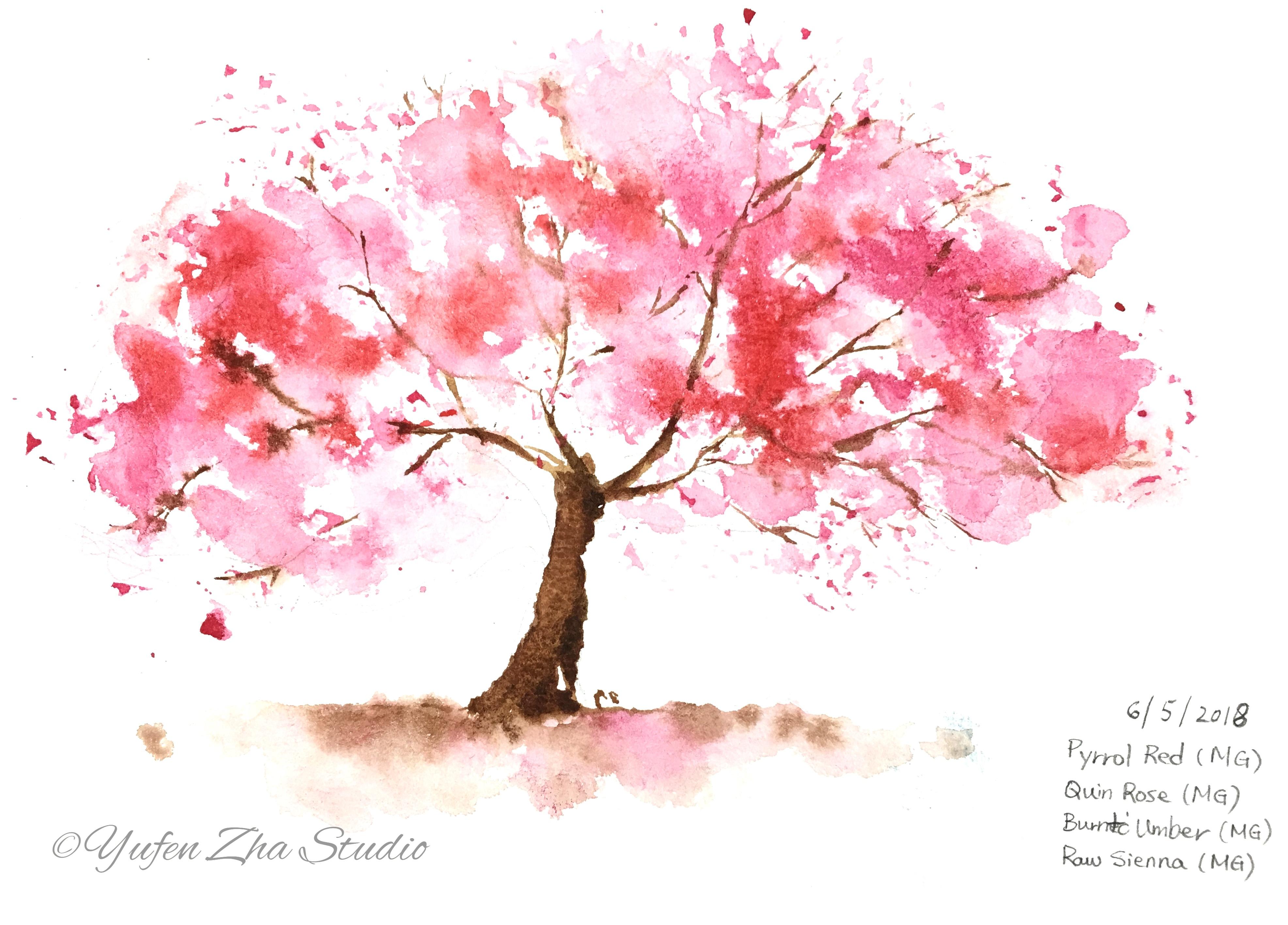 Watercolor Cherry Blossom