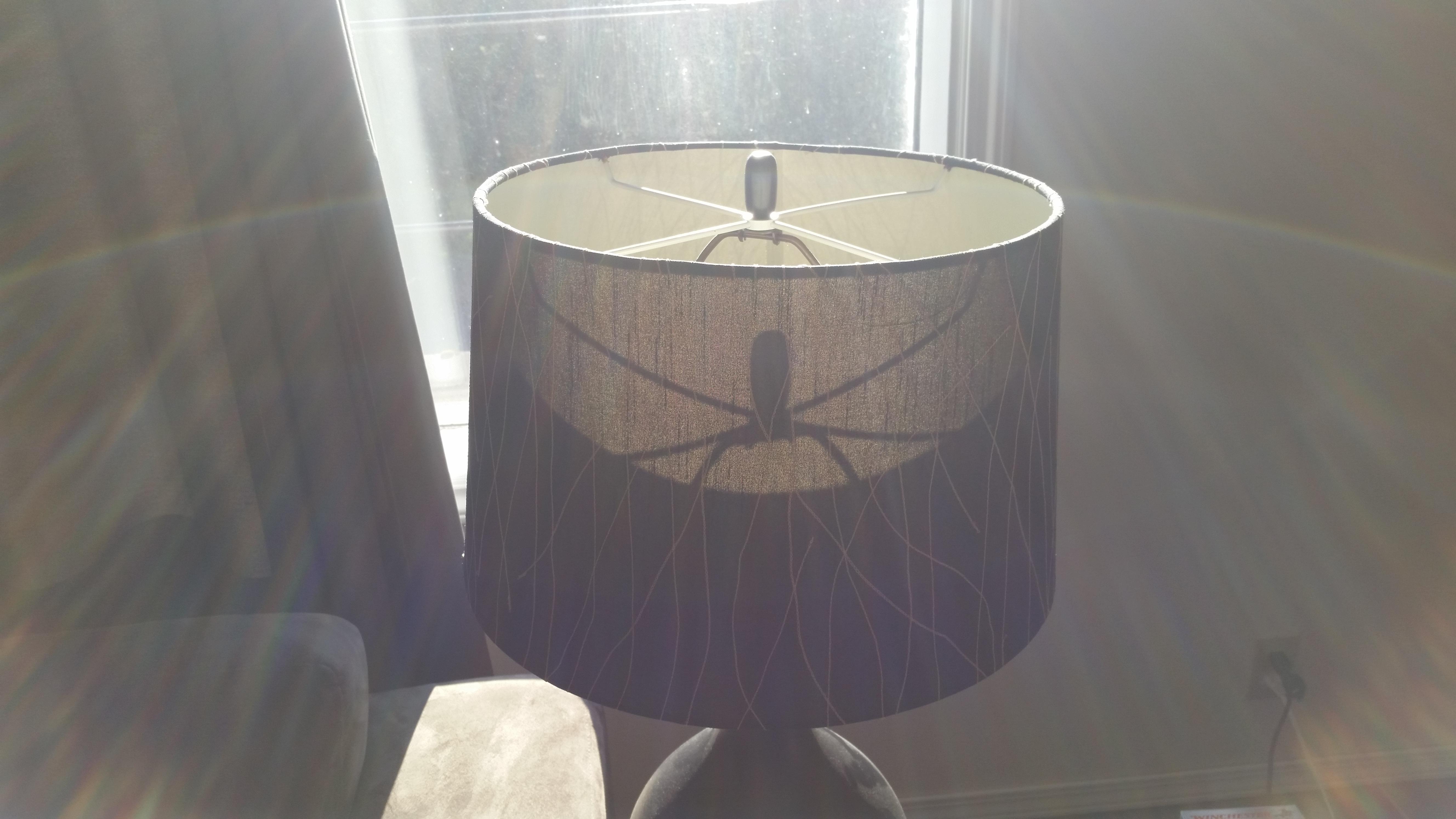 To the other spider lampshade guy! r/pics