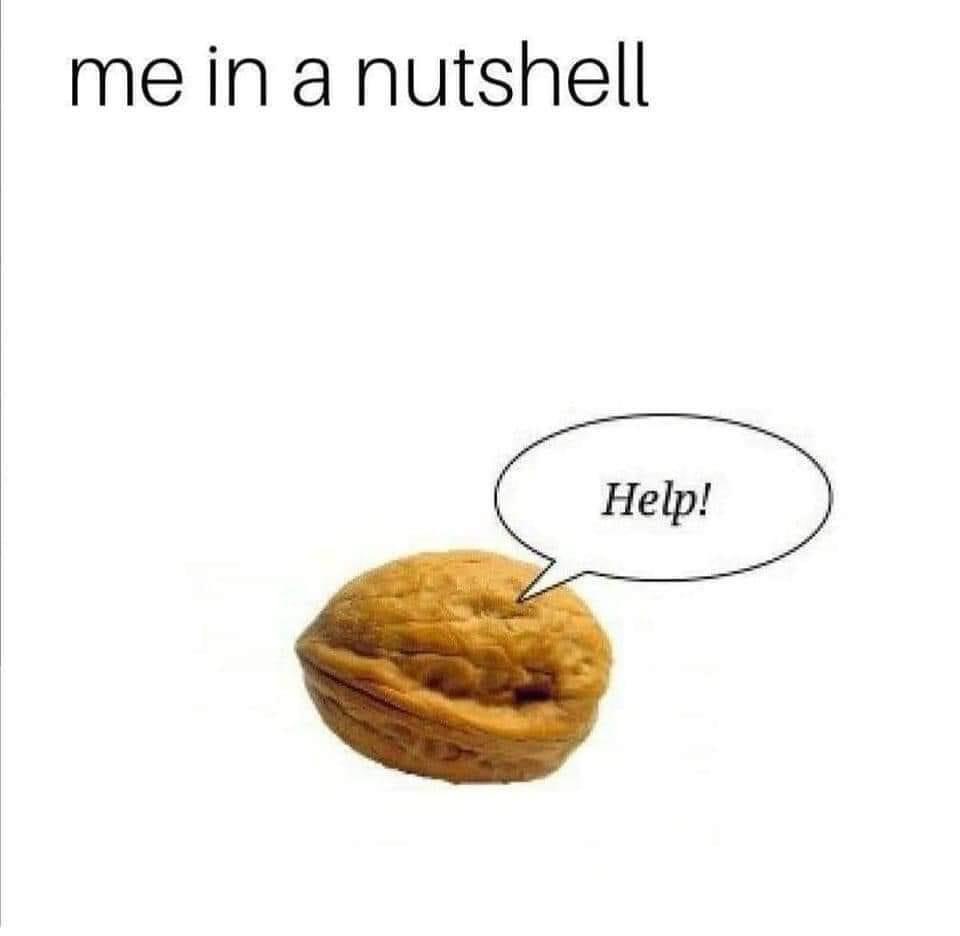 Help, It's me in a nutshell r/antimeme