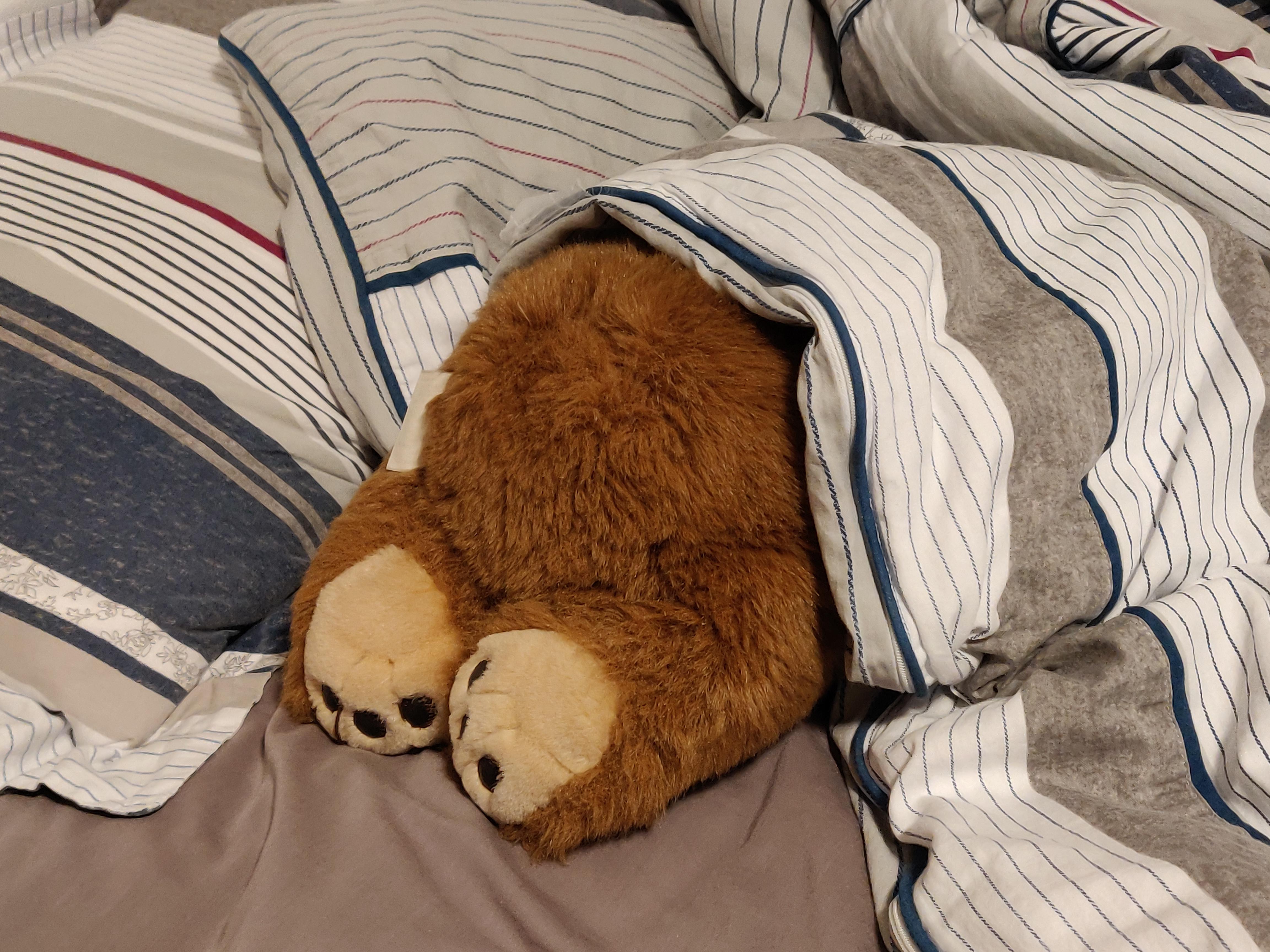 Hi r/dolls could you please help ID this blue bear? r/Dolls