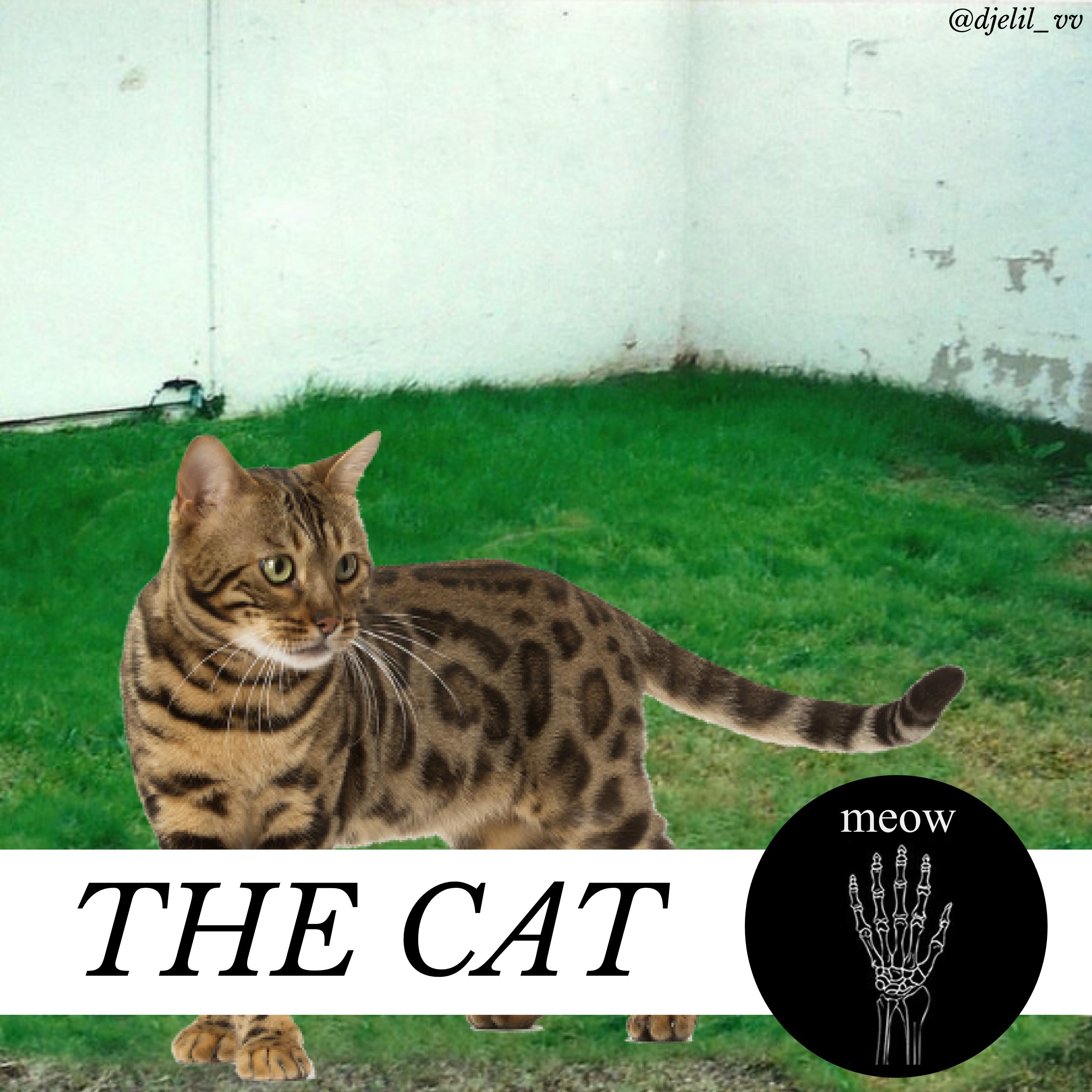 The garden haha alternative cover by me r/thegarden